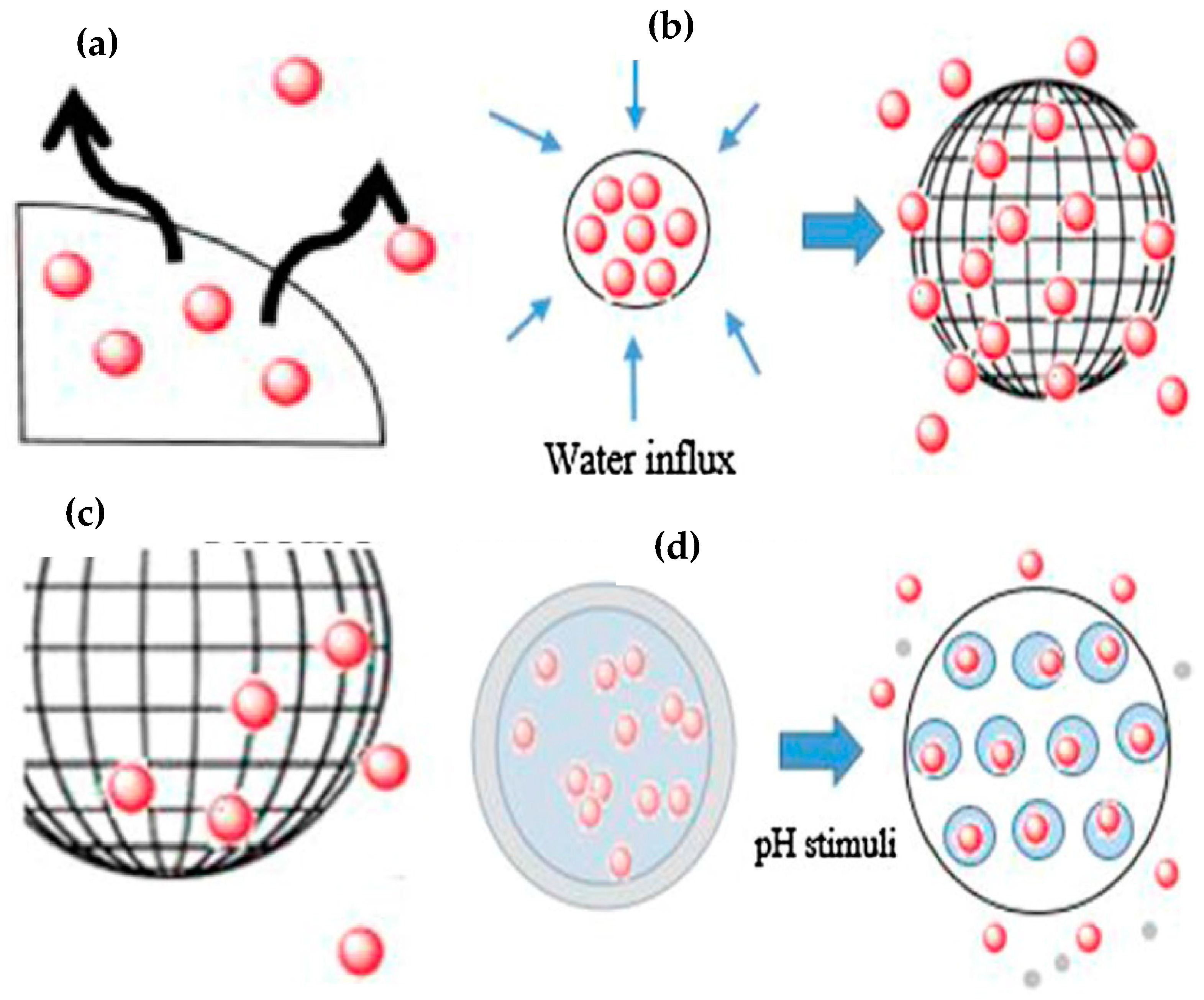 Coatings 10 00568 g002 Coatings 10 00568 g002