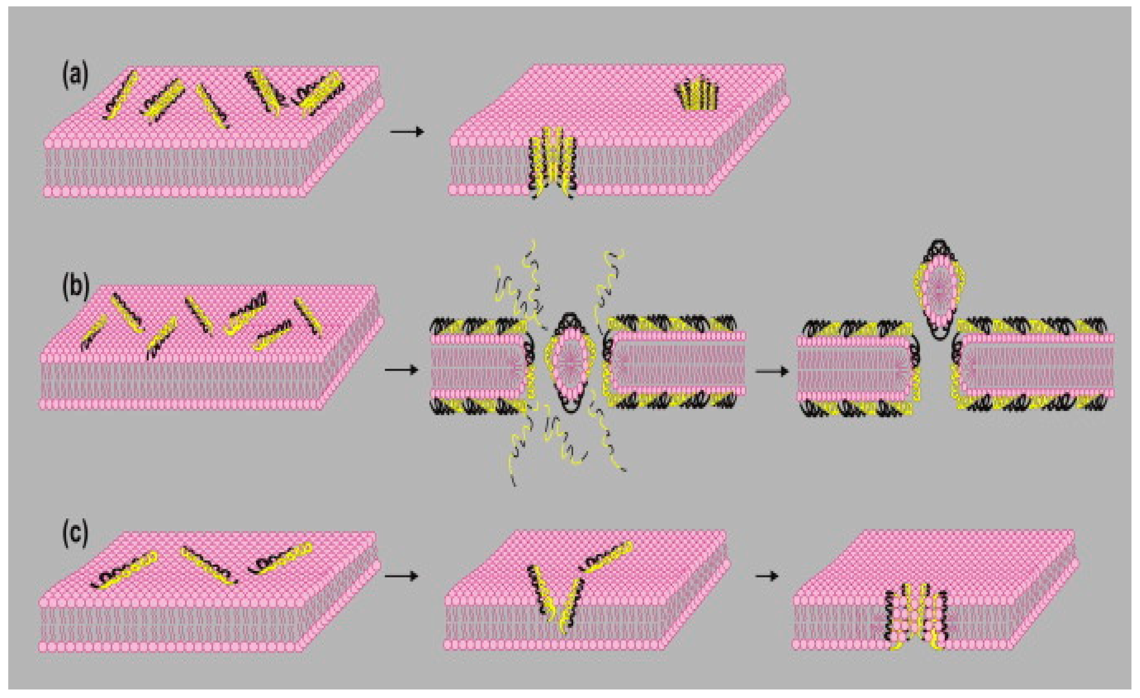Coatings 10 00568 g007 Coatings 10 00568 g007