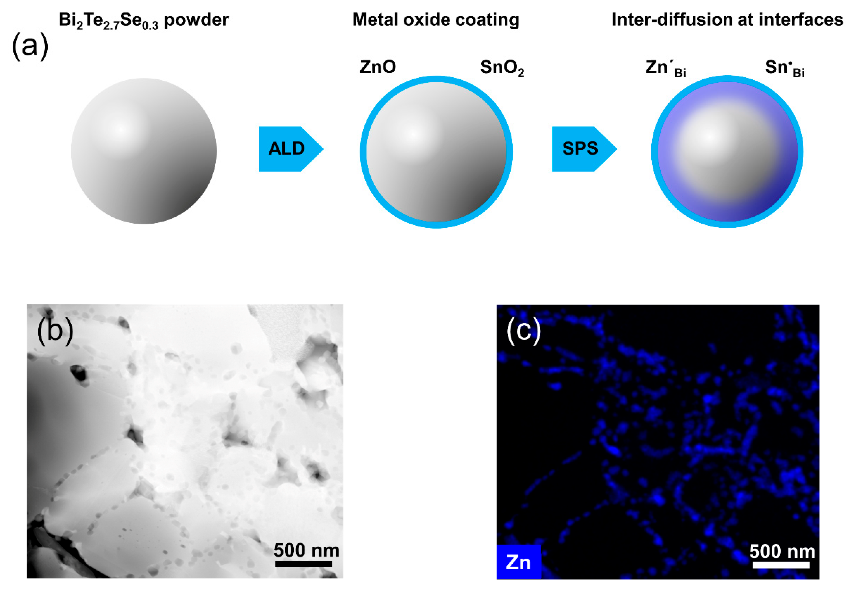Coatings 10 00572 g001