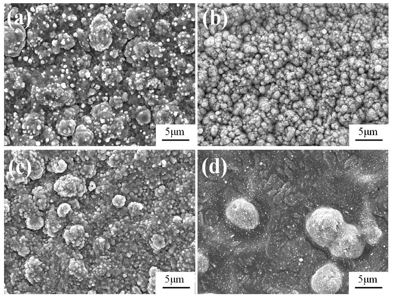 Coatings 10 00575 g004 Coatings 10 00575 g004