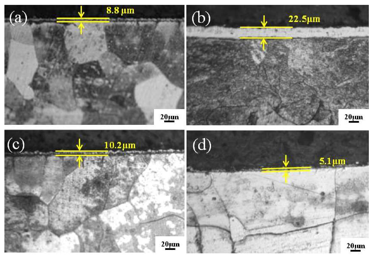 Coatings 10 00575 g005 Coatings 10 00575 g005