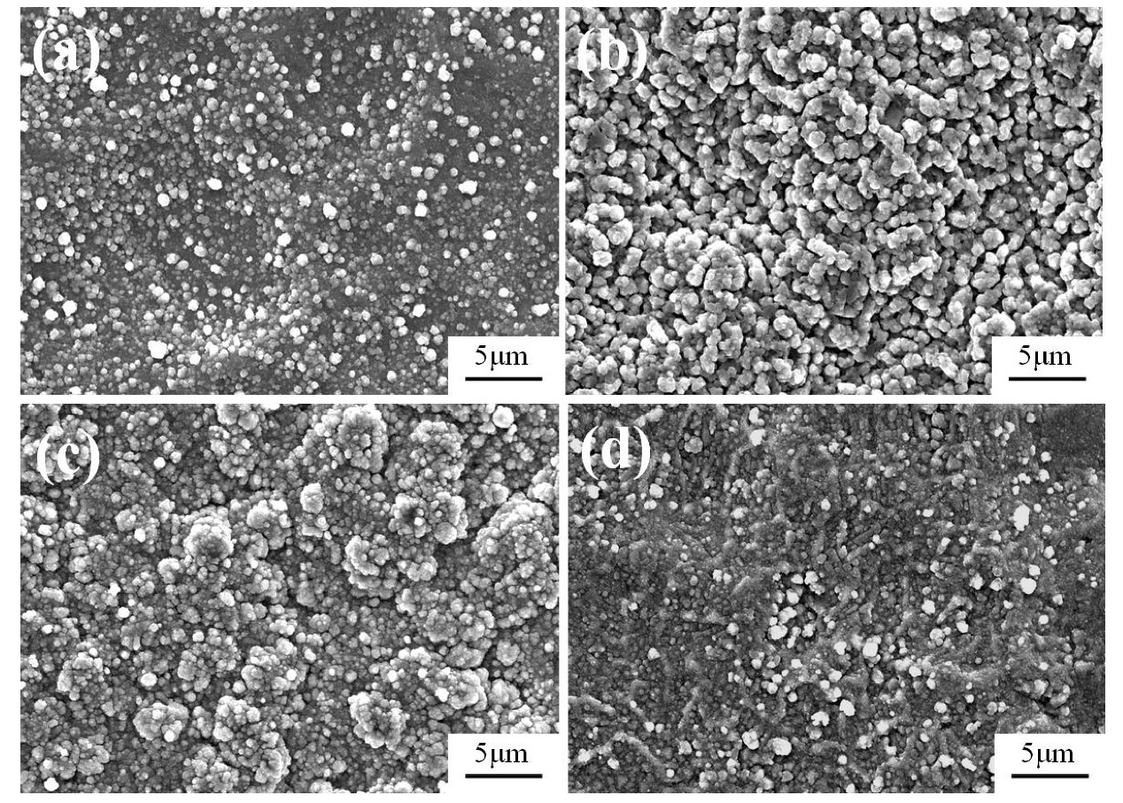 Coatings 10 00575 g006 Coatings 10 00575 g006