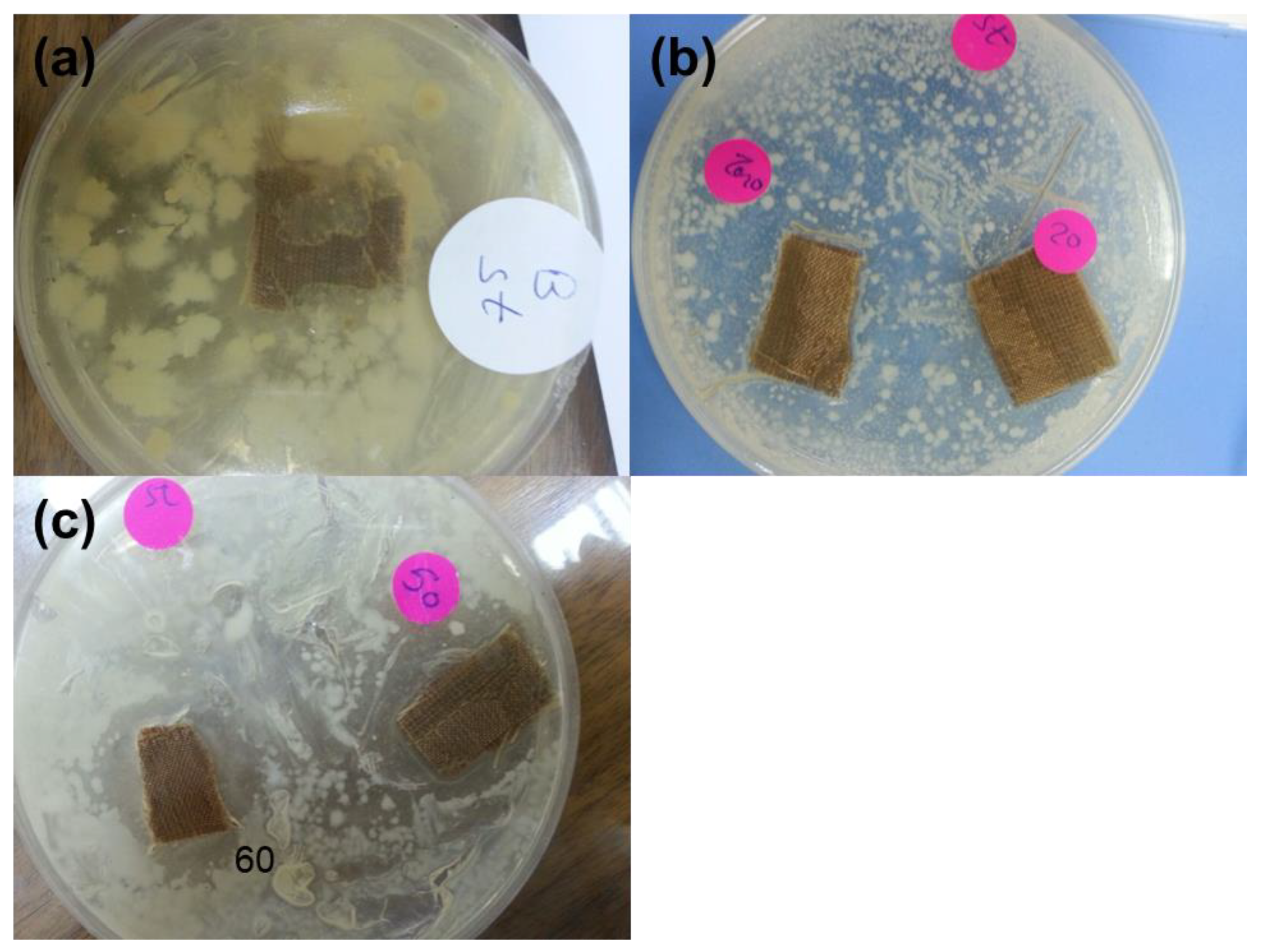 Coatings 10 00576 g004 Coatings 10 00576 g004