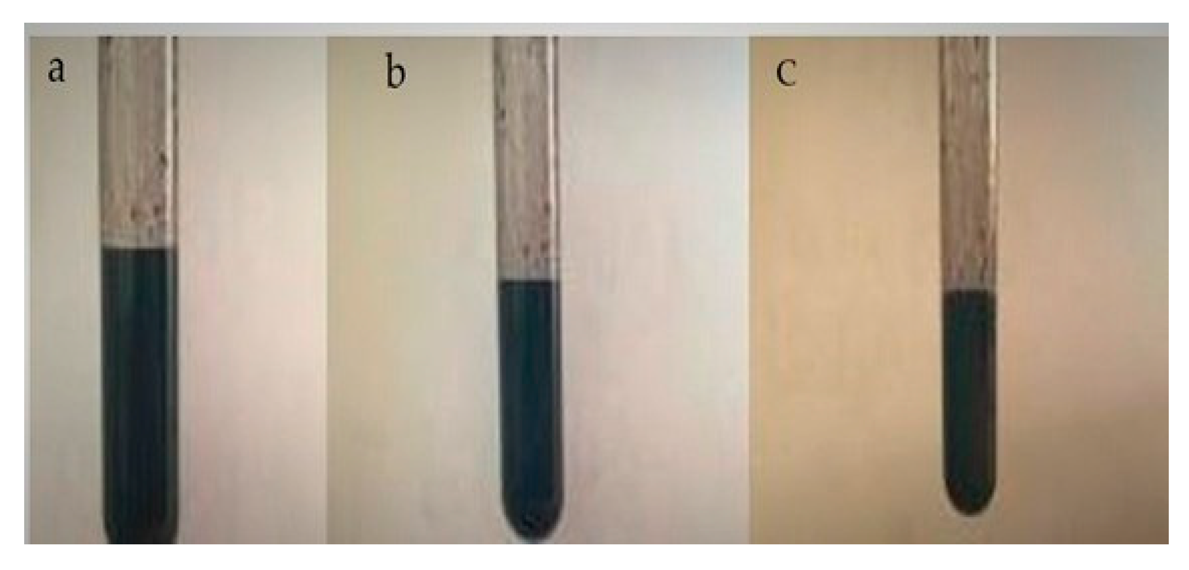 Coatings 10 00579 g001 Coatings 10 00579 g001