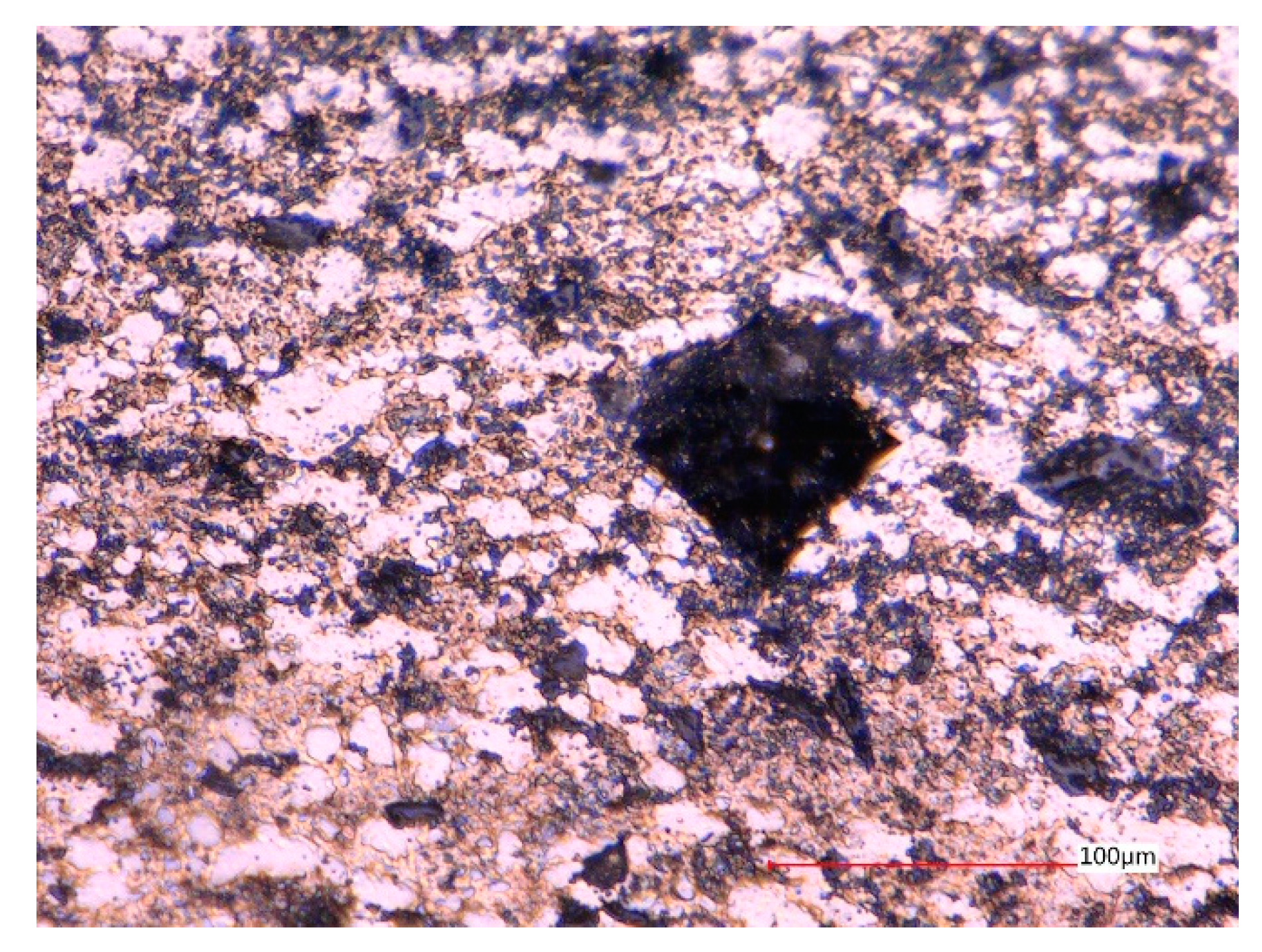 Coatings 10 00581 g002