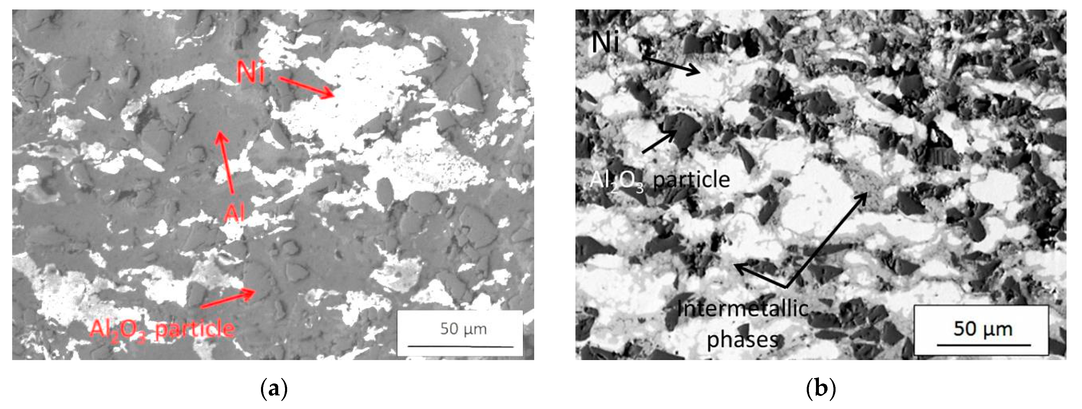 Coatings 10 00581 g007