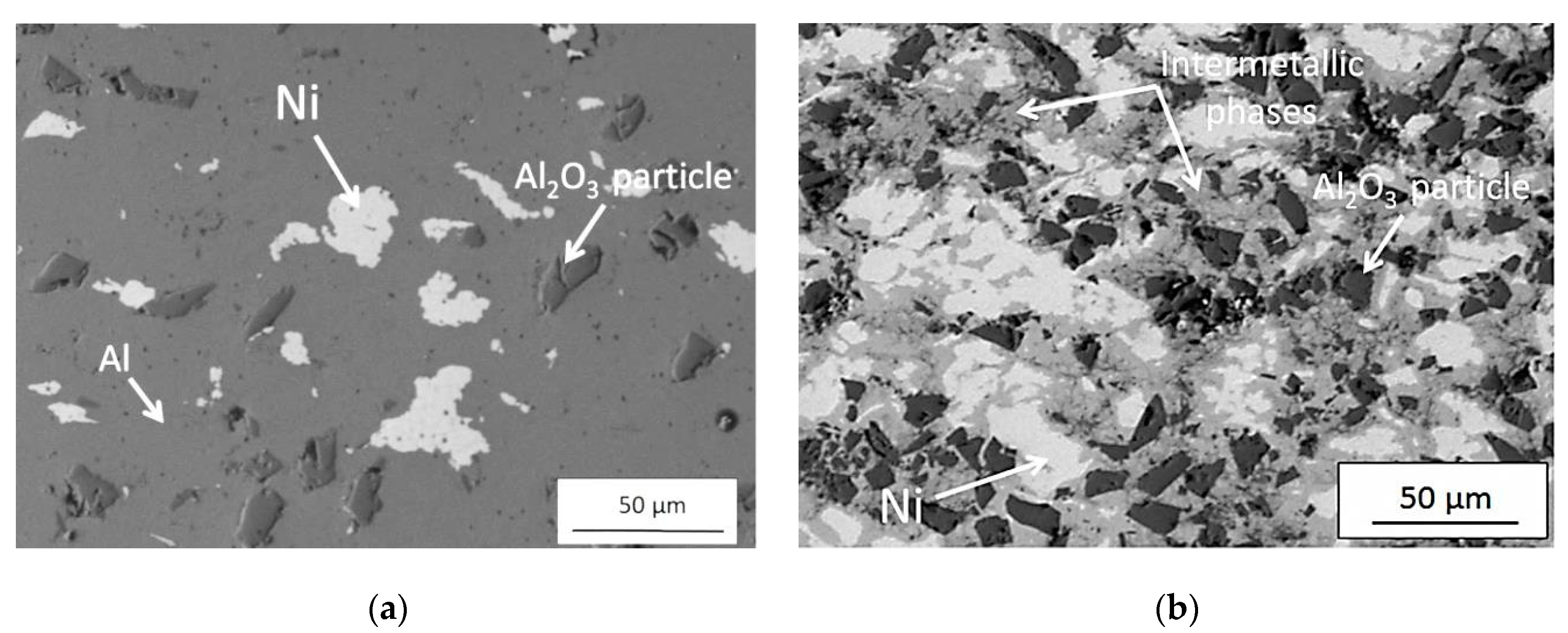 Coatings 10 00581 g009