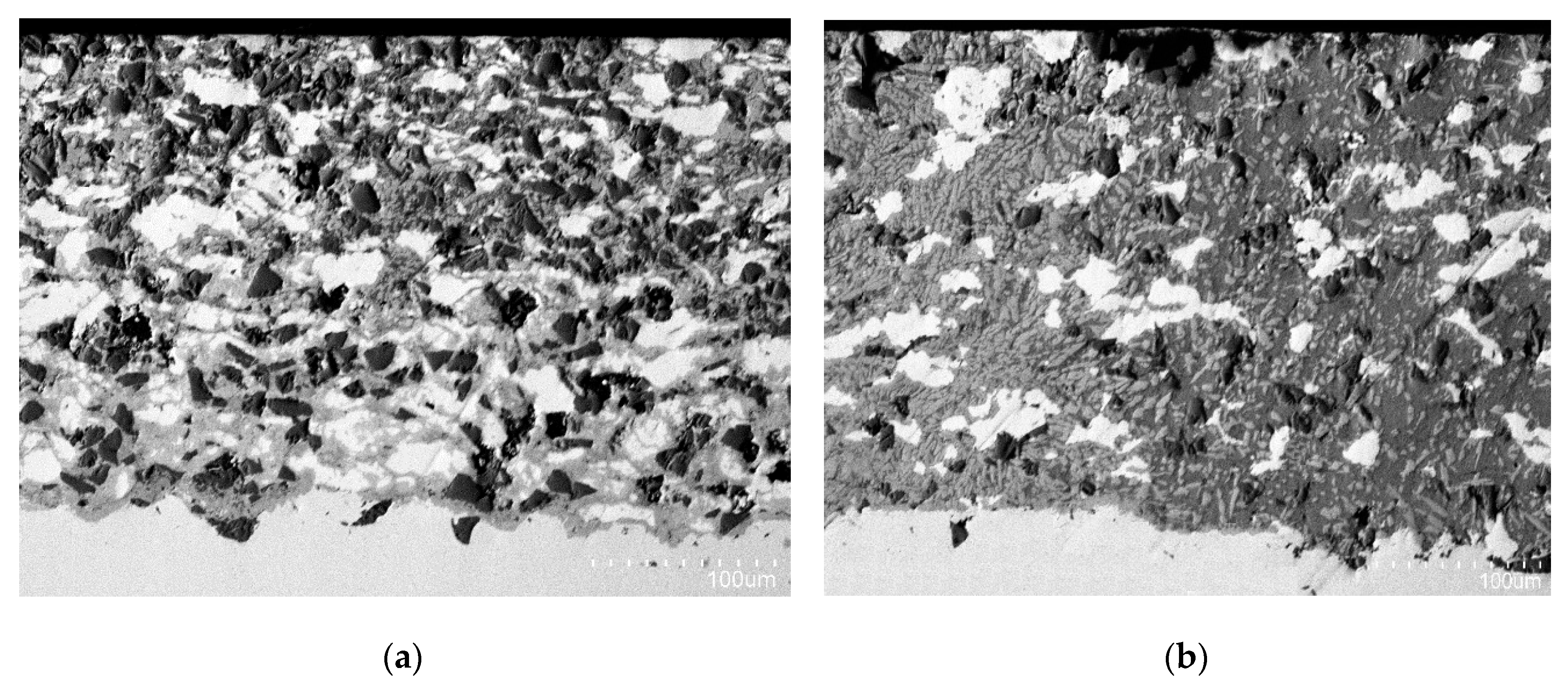 Coatings 10 00581 g010