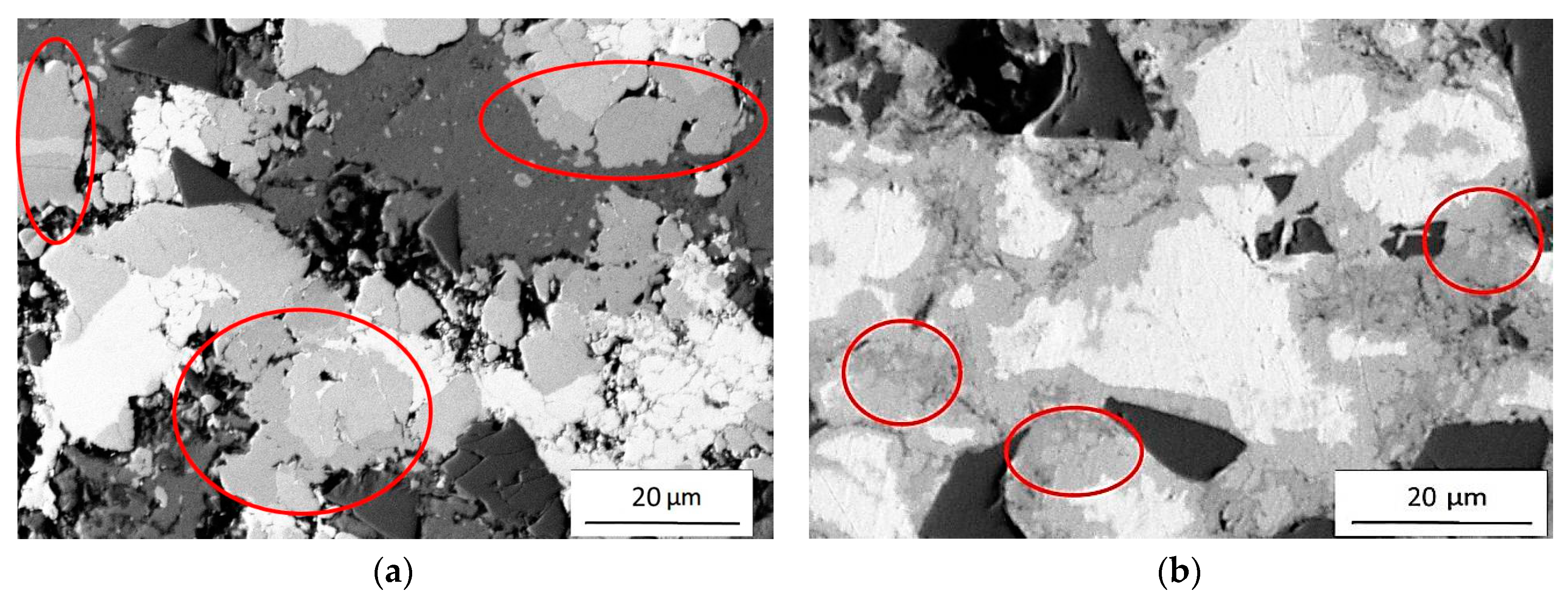 Coatings 10 00581 g011