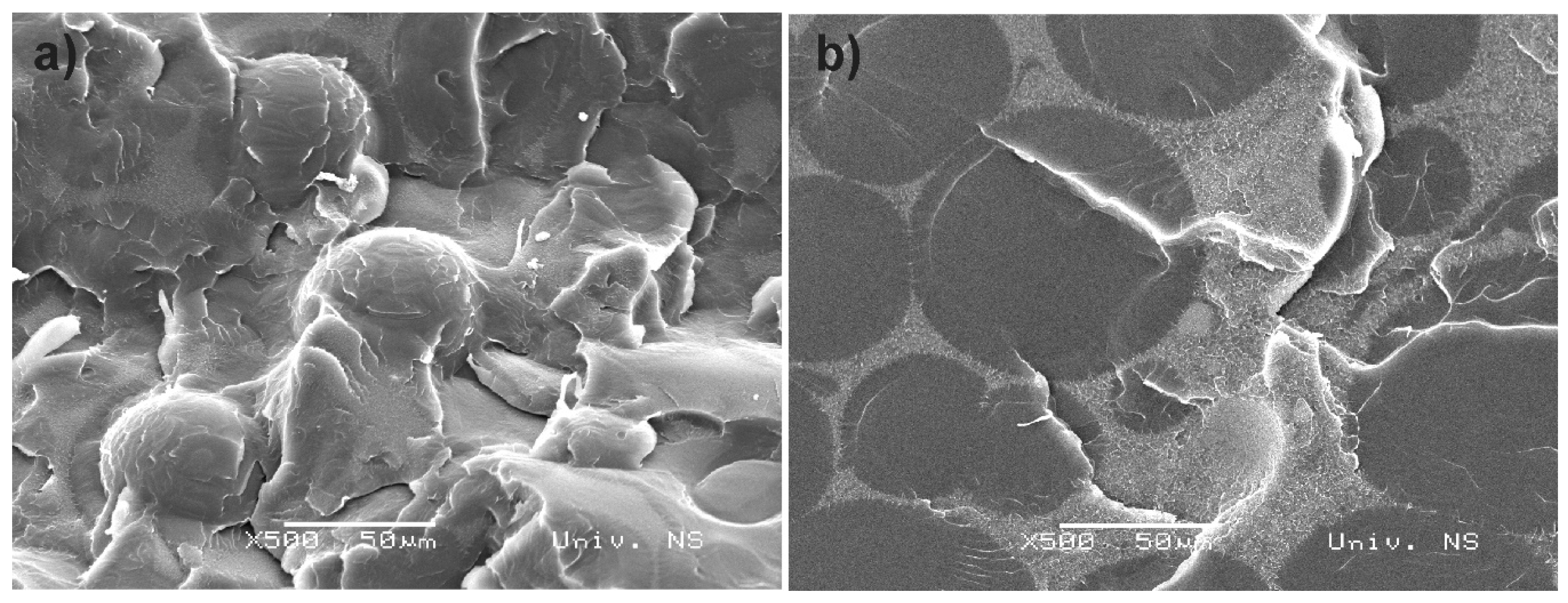 Coatings 10 00583 g003