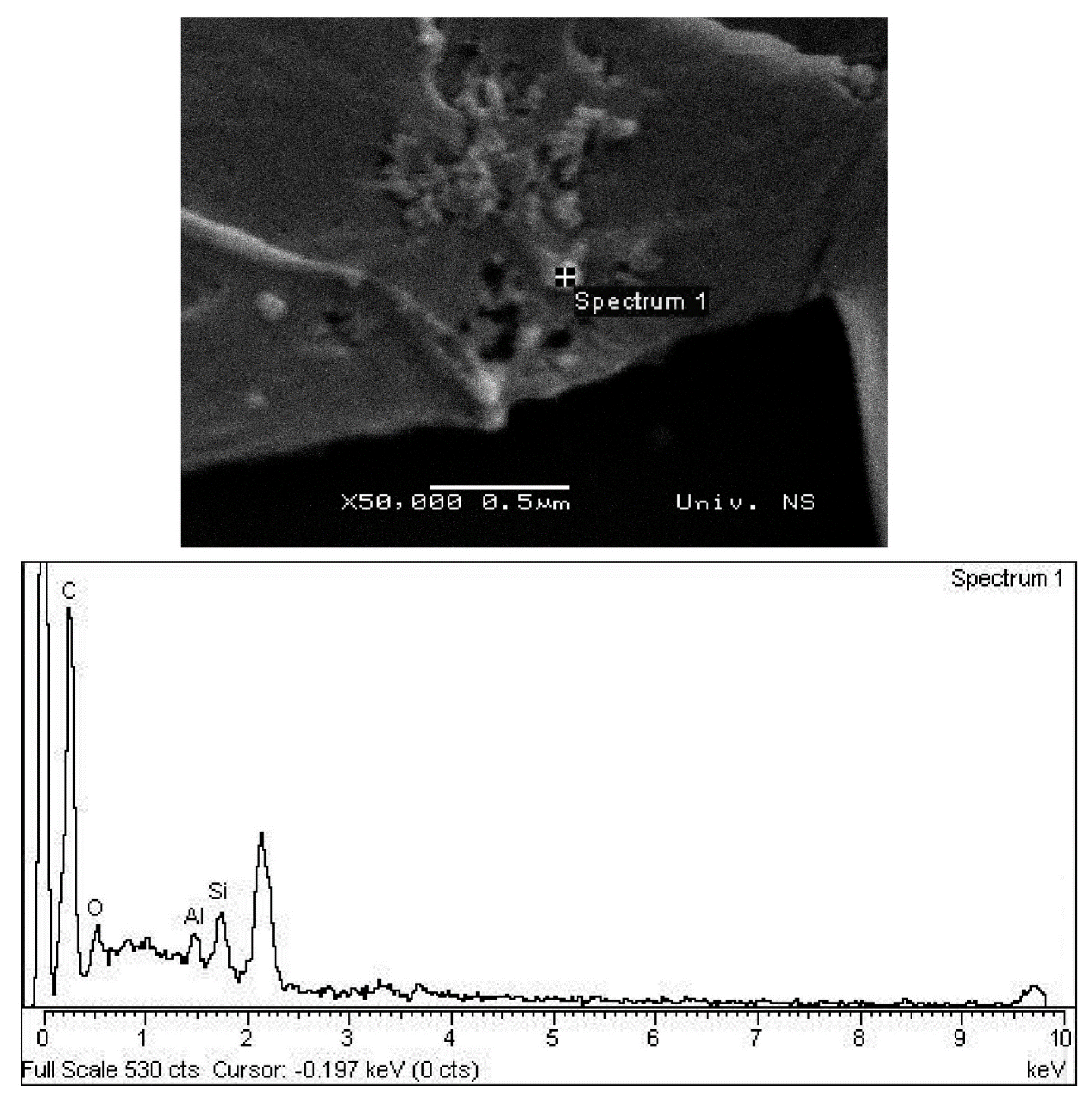 Coatings 10 00583 g004