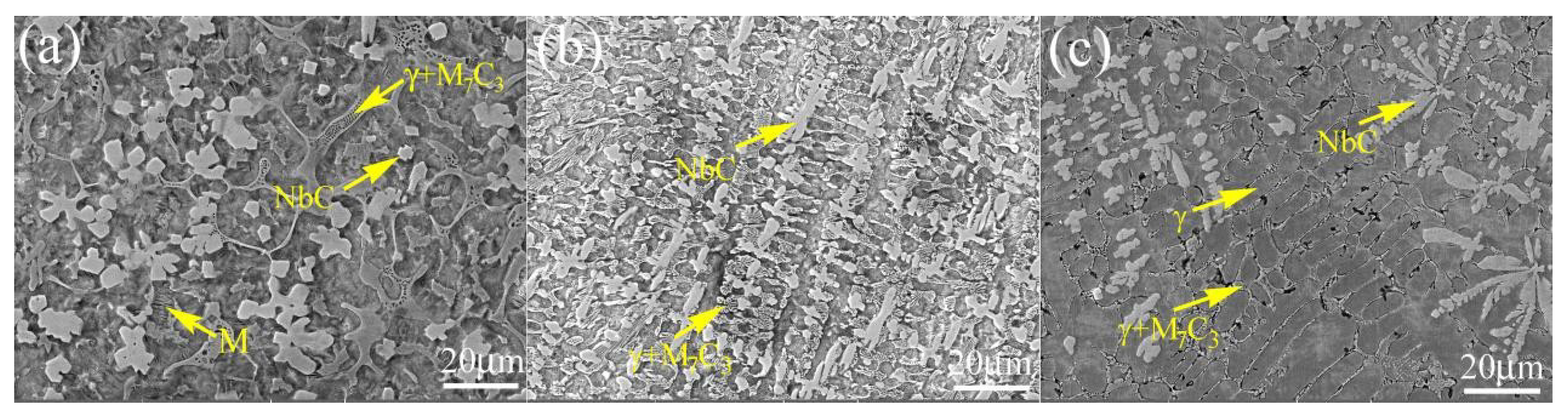 Coatings 10 00585 g004 Coatings 10 00585 g004