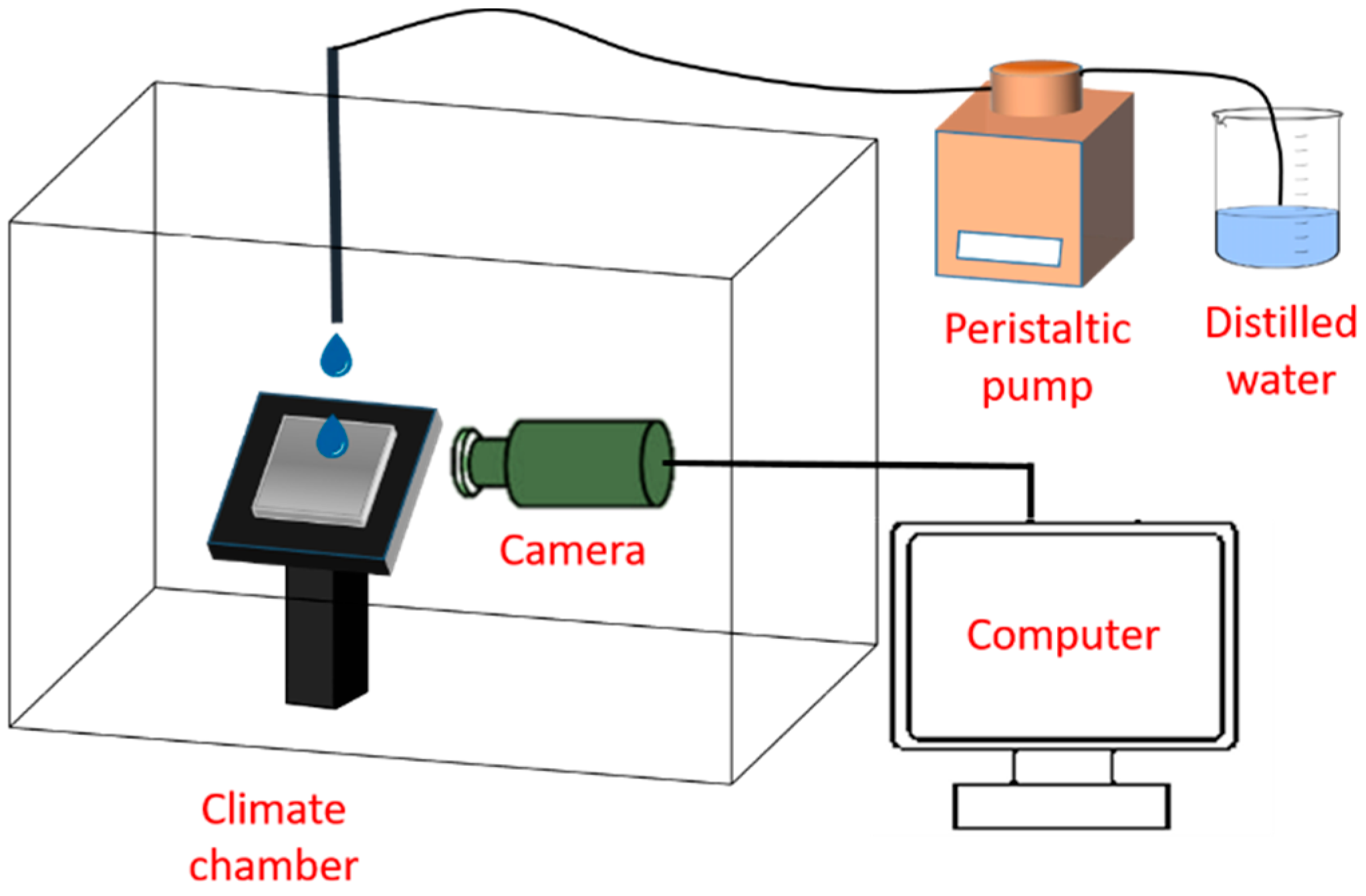 Coatings 10 00587 g001