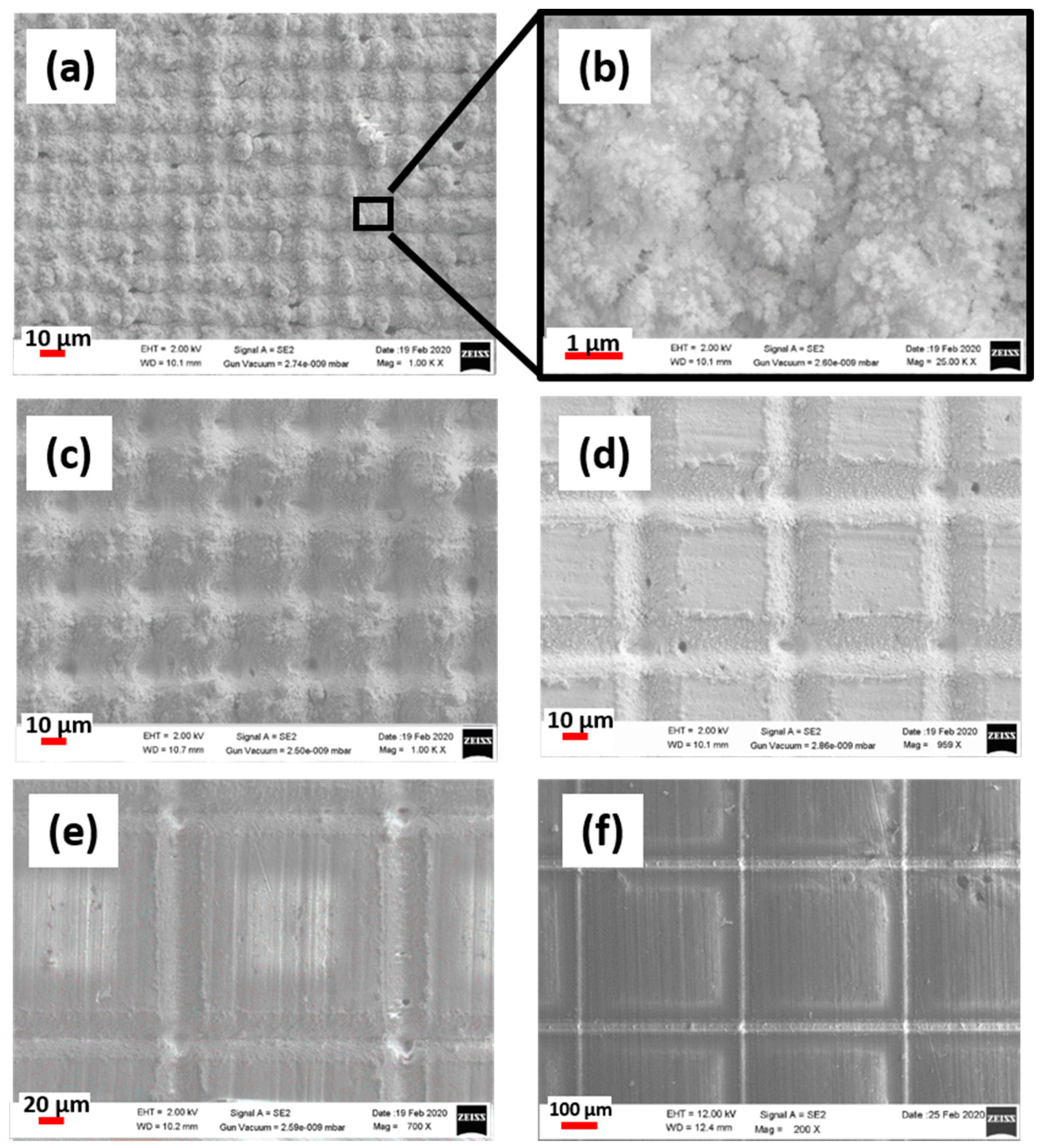 Coatings 10 00587 g002