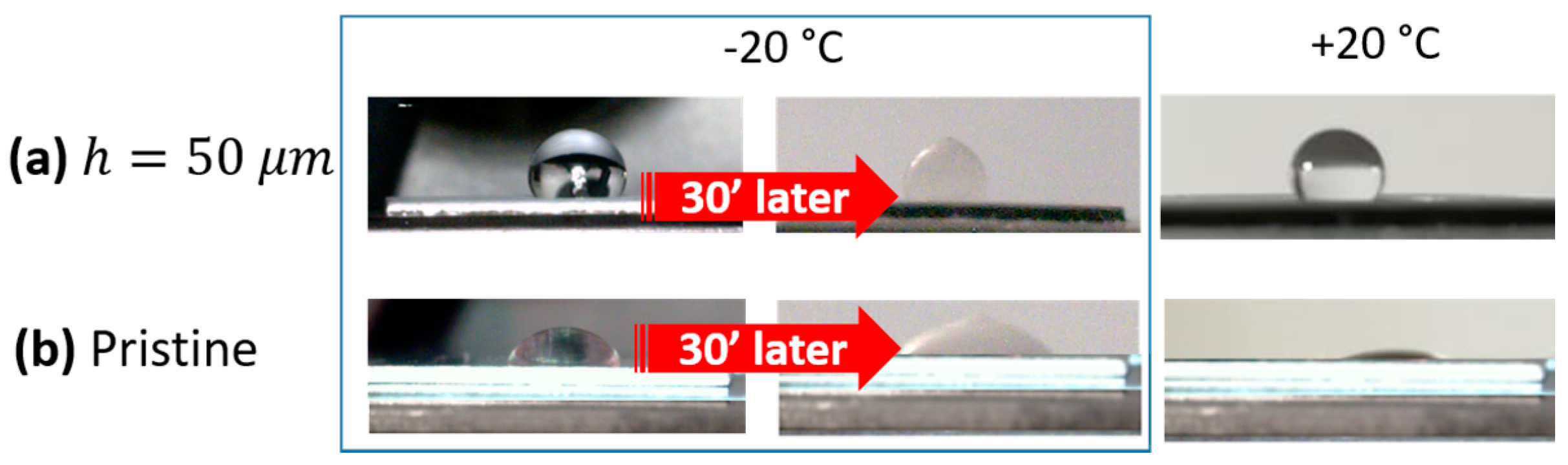 Coatings 10 00587 g006