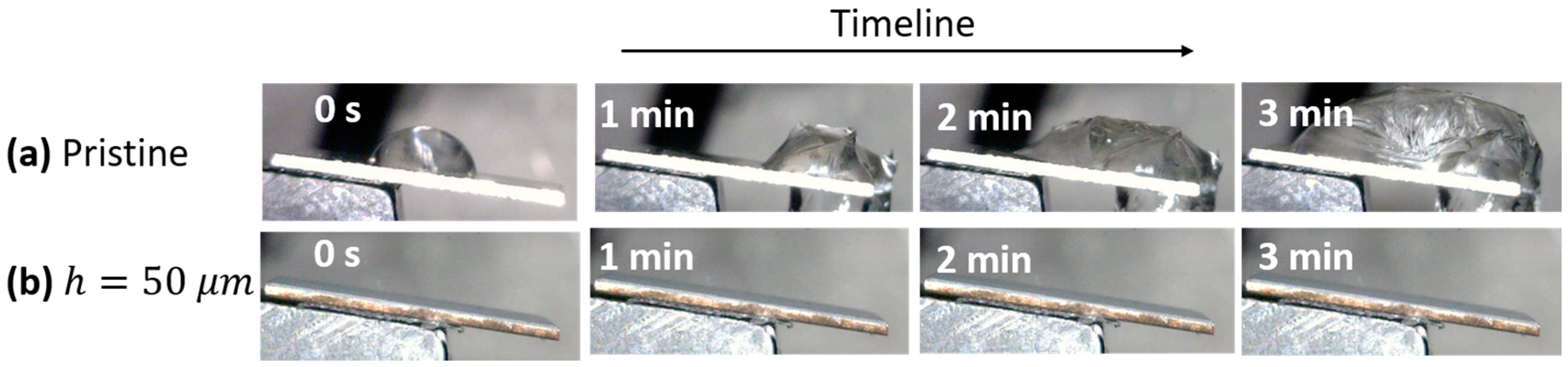 Coatings 10 00587 g007