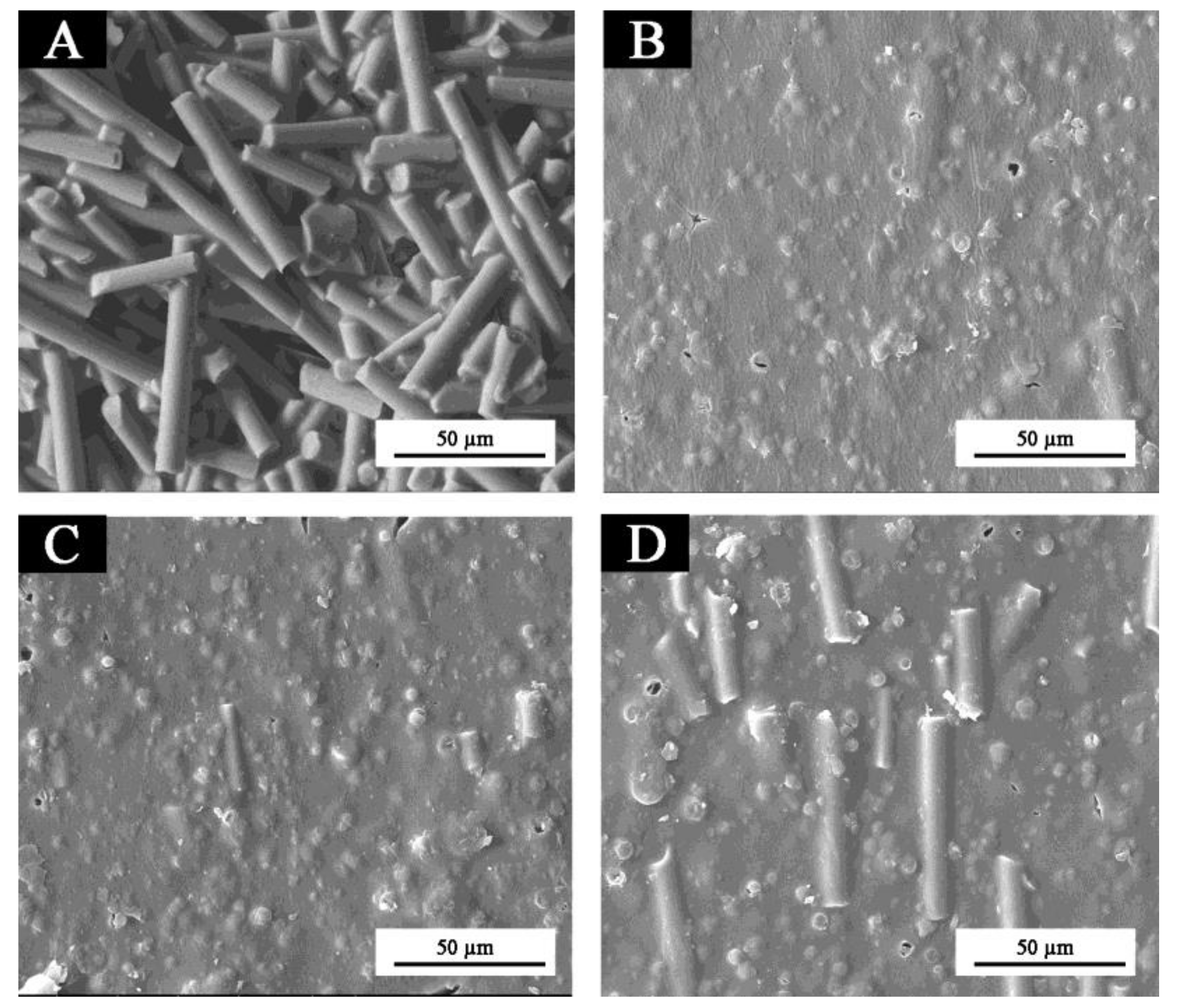 Coatings 10 00588 g004 Coatings 10 00588 g004