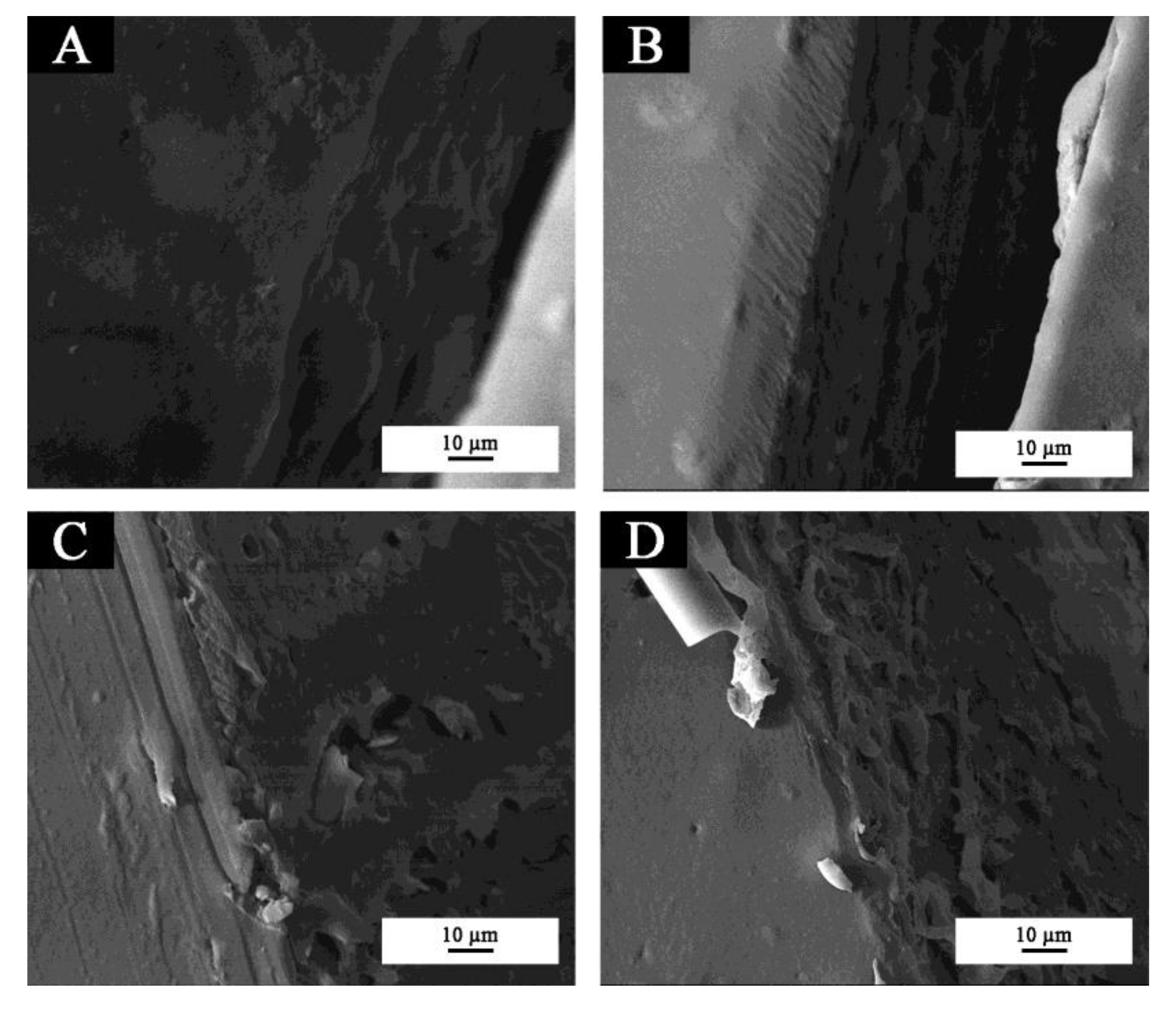 Coatings 10 00588 g005 Coatings 10 00588 g005
