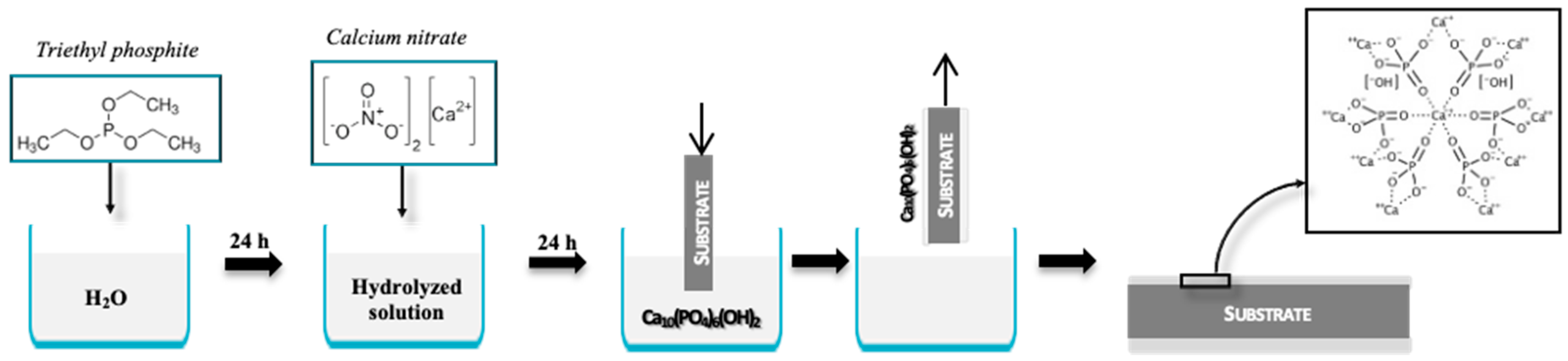 Coatings 10 00589 g003