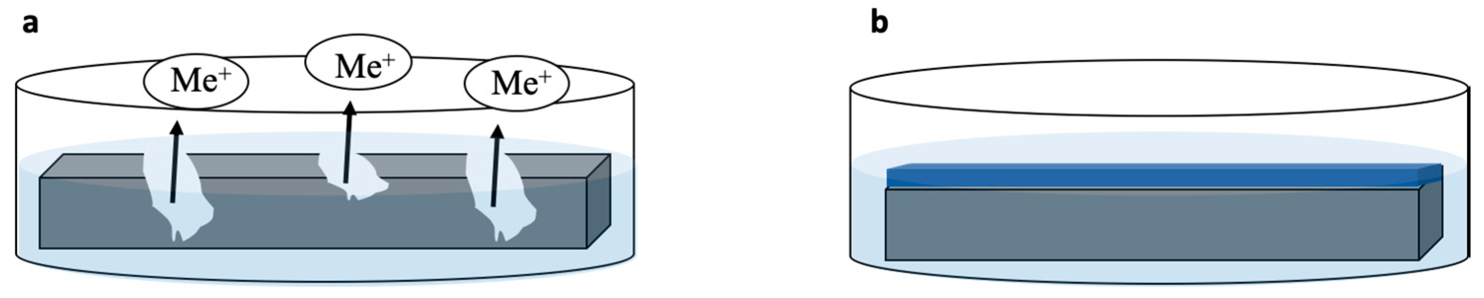 Coatings 10 00589 g005