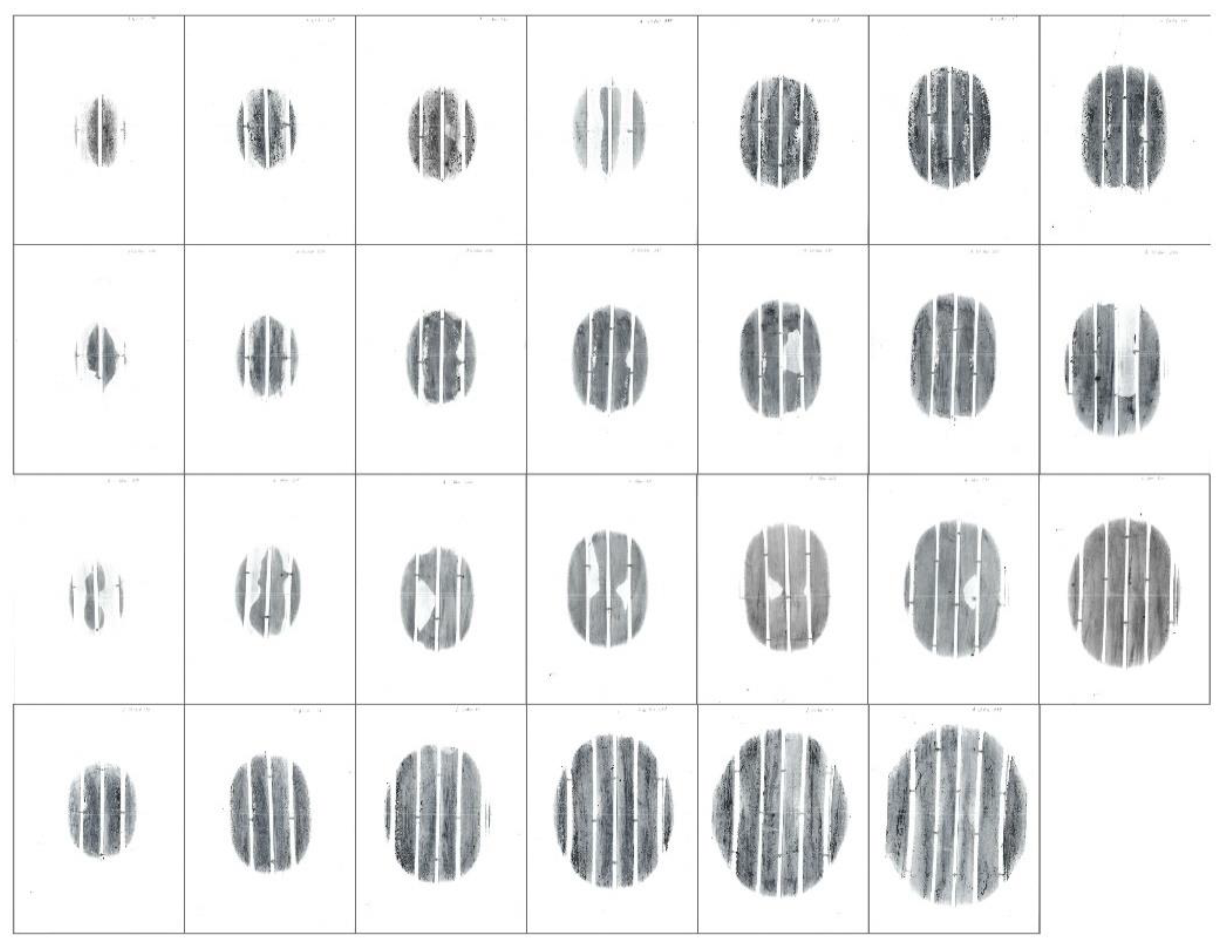 Coatings 10 00591 g009