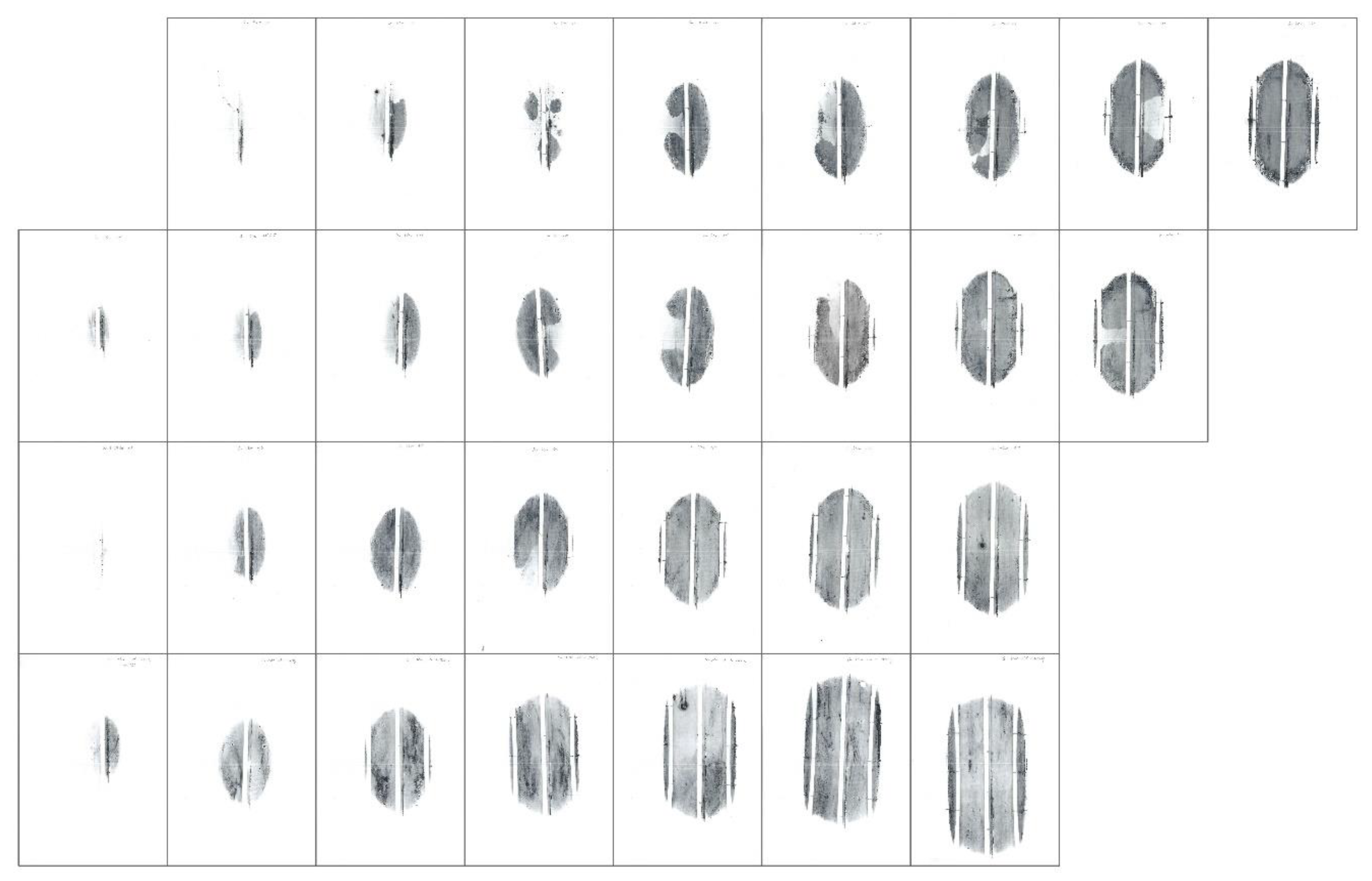 Coatings 10 00591 g010