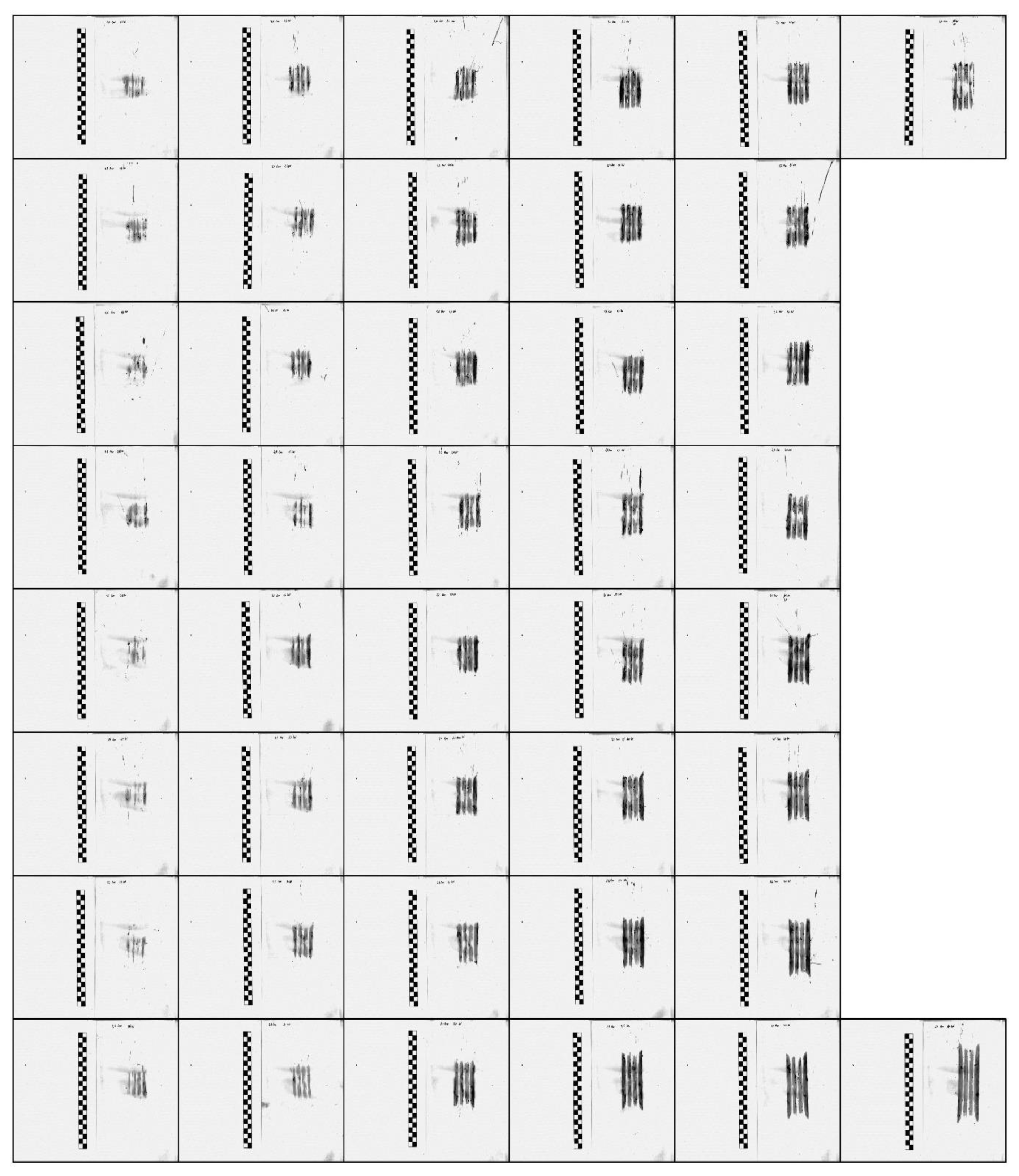 Coatings 10 00591 g011