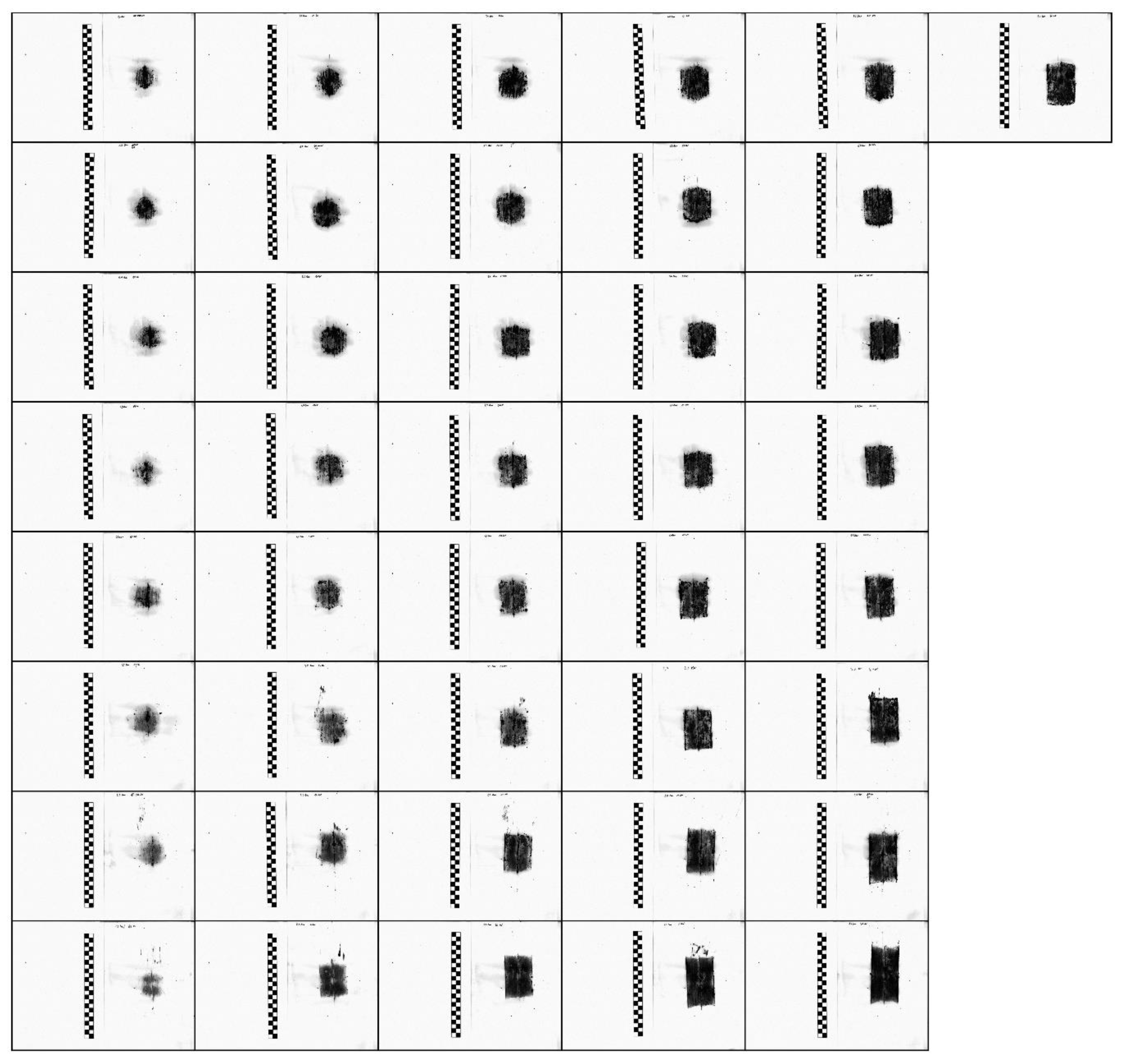 Coatings 10 00591 g012
