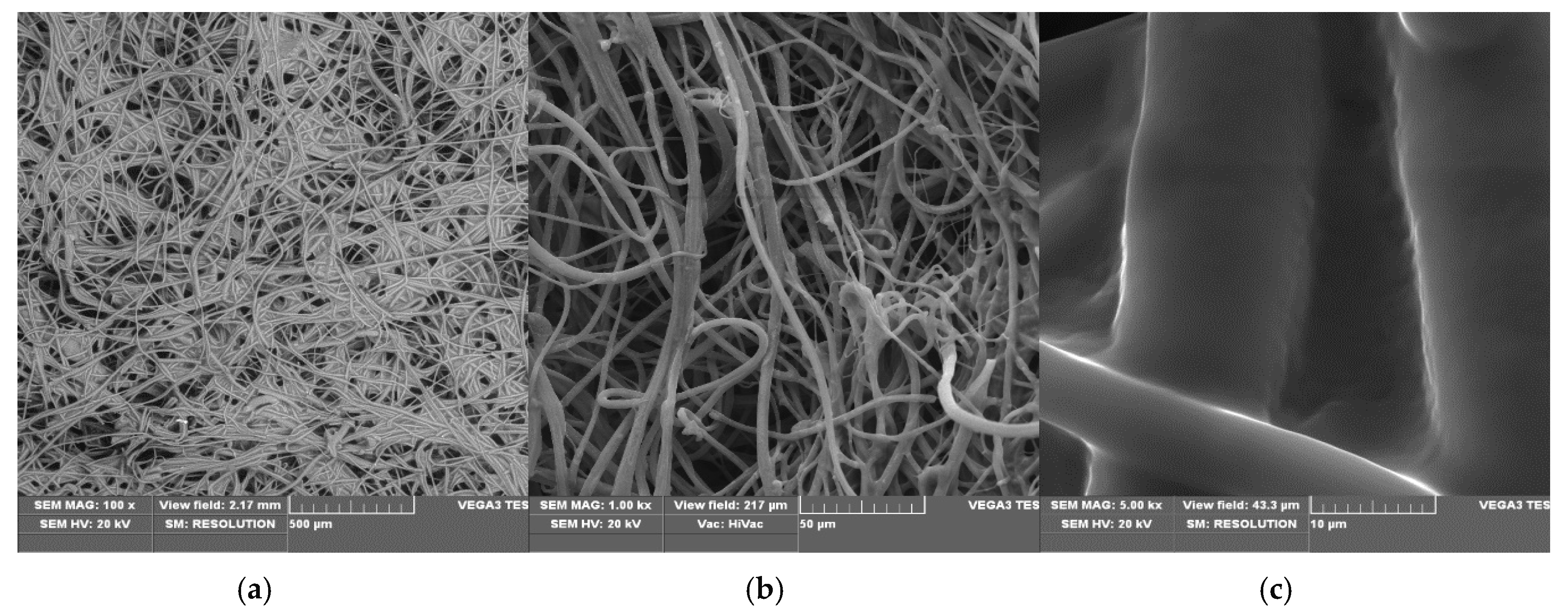Coatings 10 00593 g006 Coatings 10 00593 g006