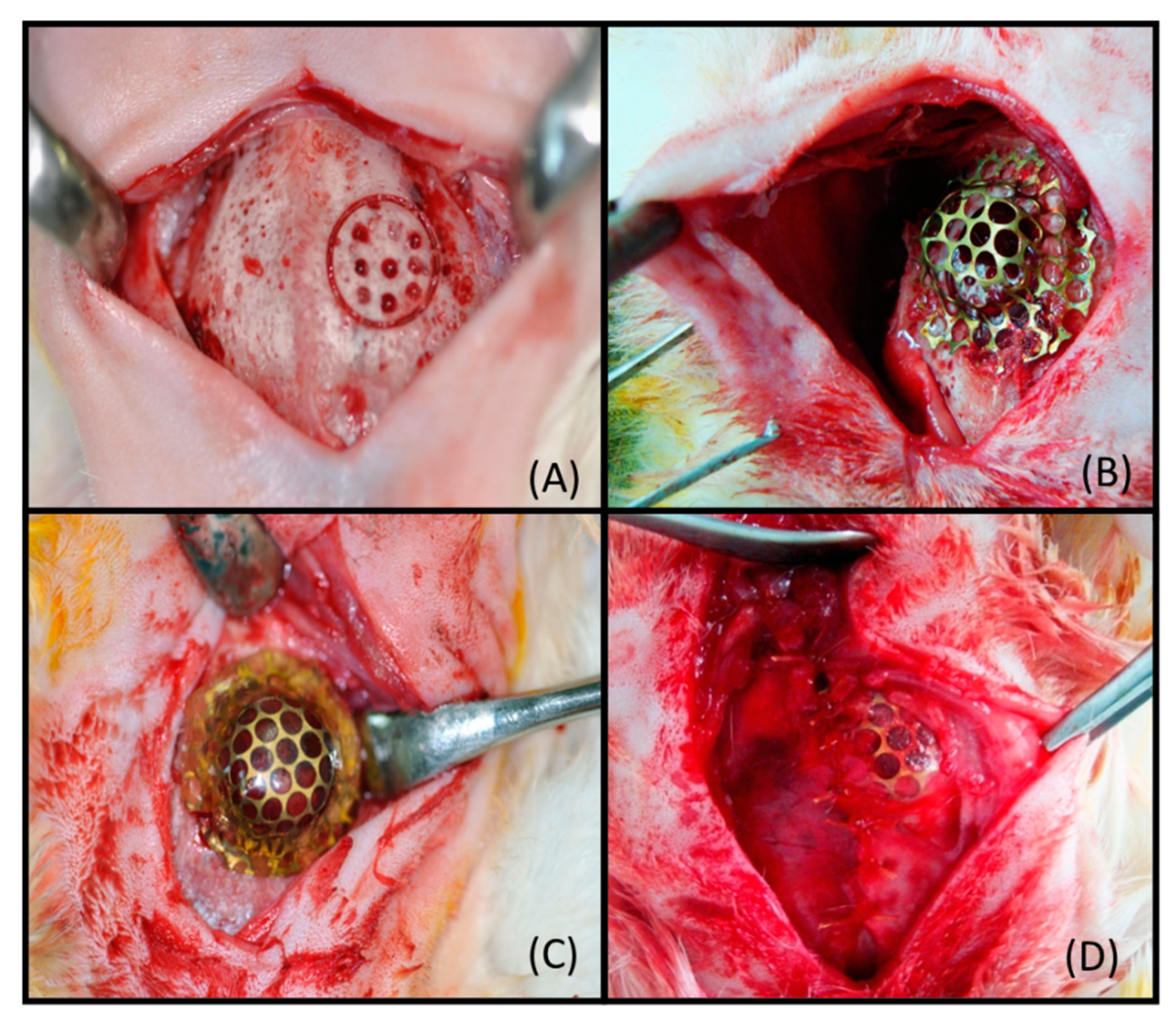 Coatings 10 00595 g003