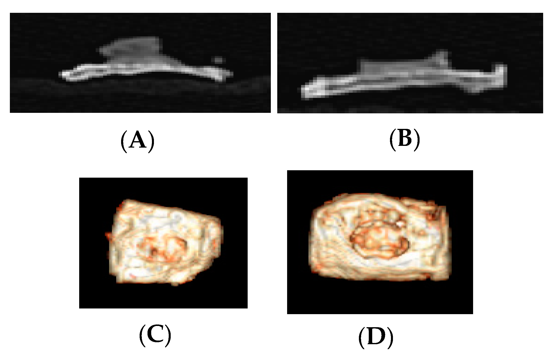 Coatings 10 00595 g005