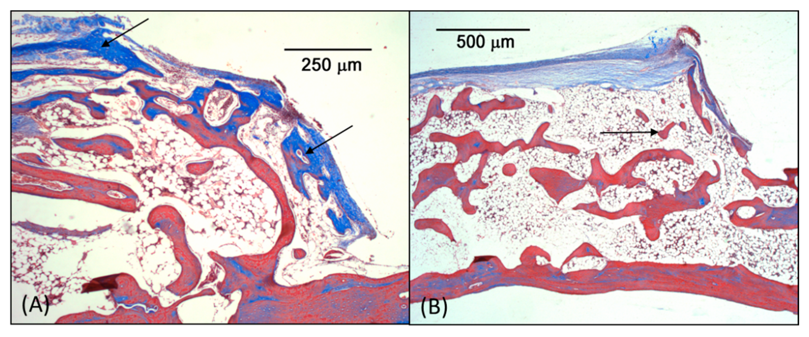 Coatings 10 00595 g010