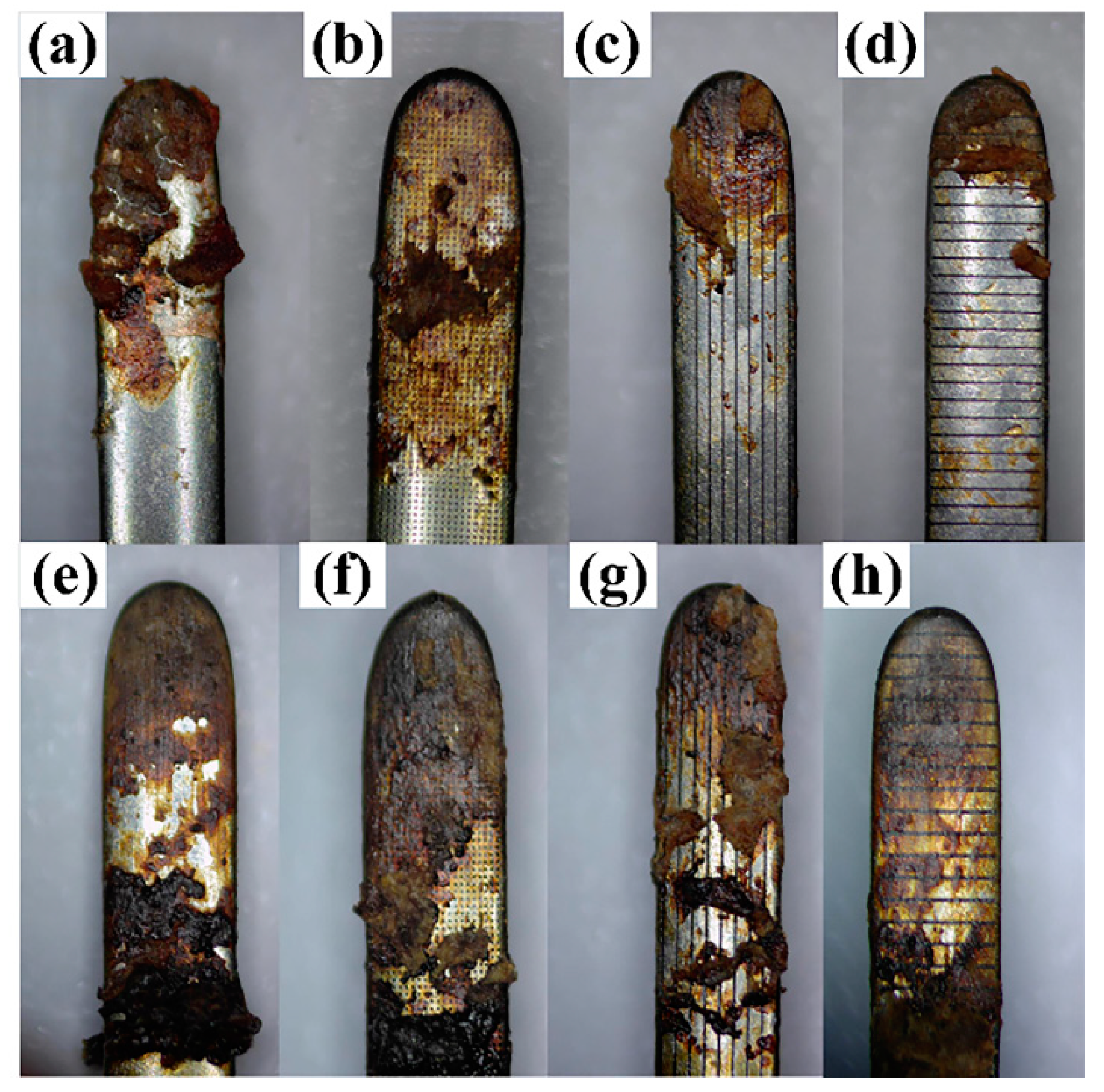 Coatings 10 00596 g004 Coatings 10 00596 g004