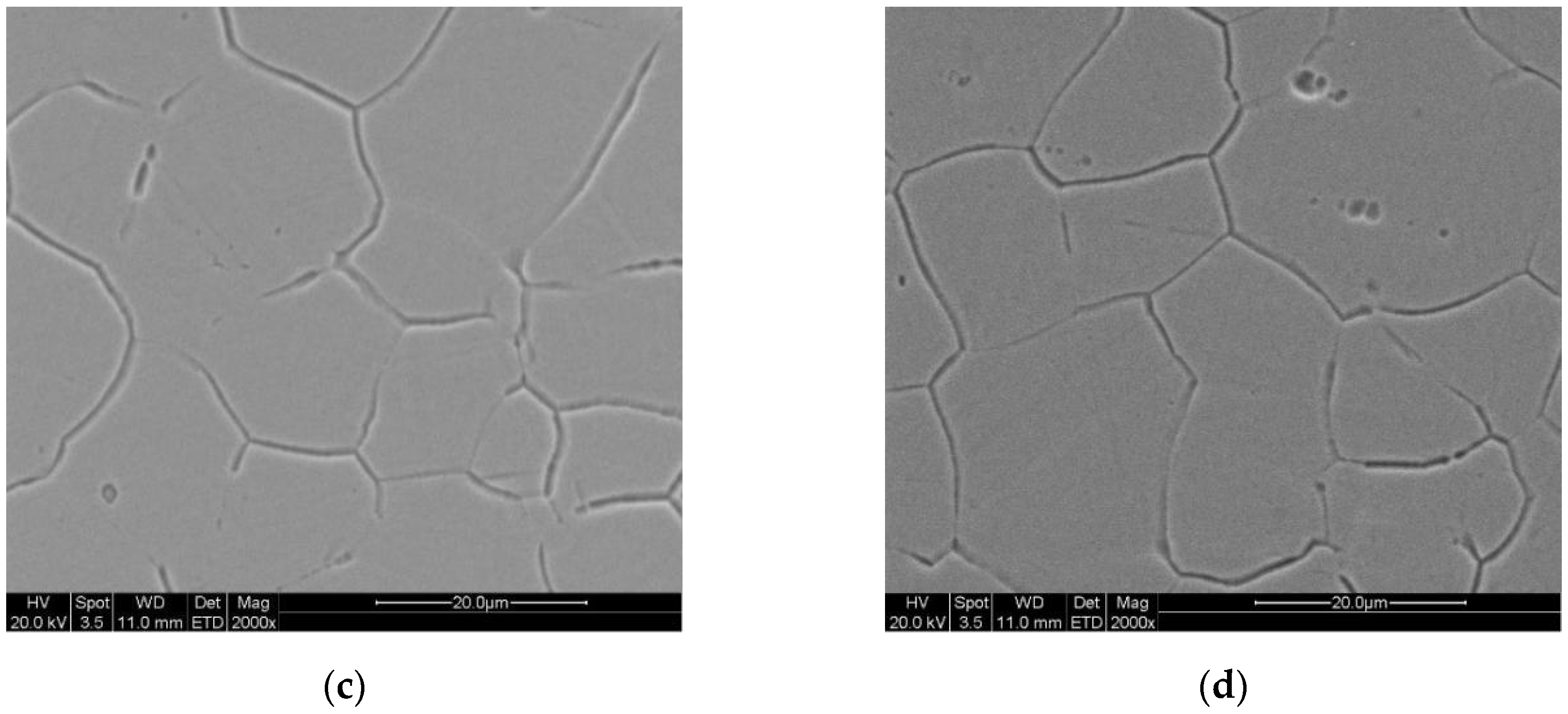 Coatings 10 00598 g008b Coatings 10 00598 g008b