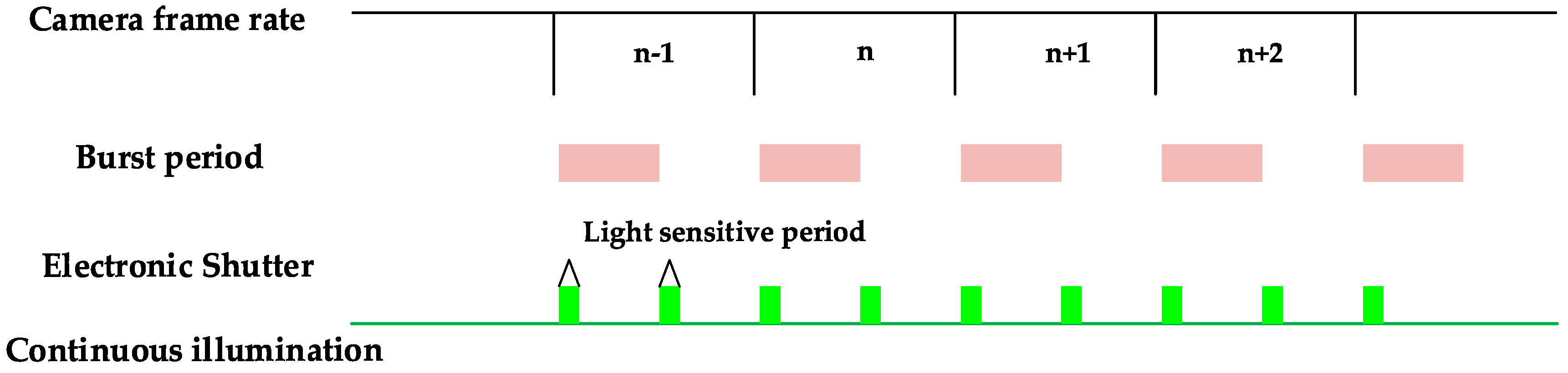 Coatings 10 00599 g002