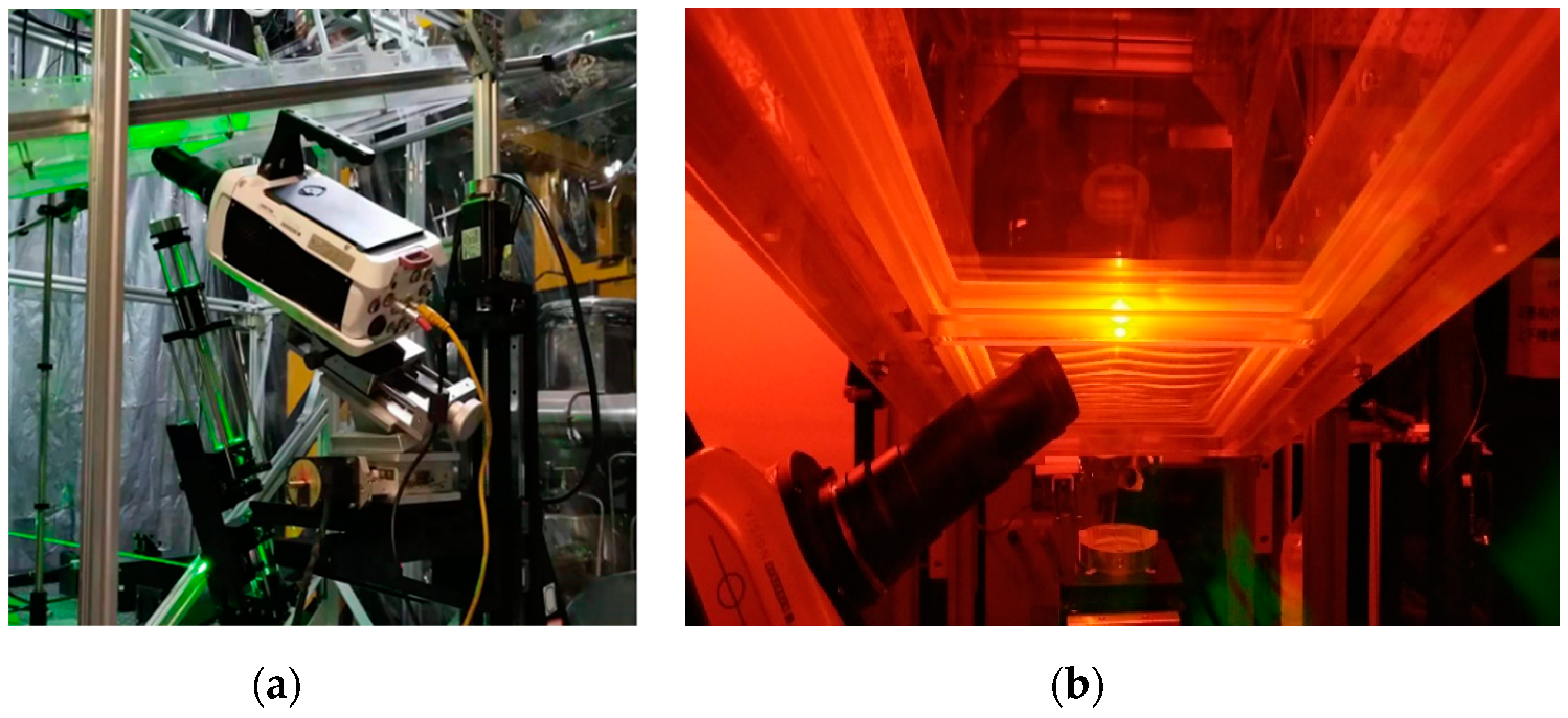 Coatings 10 00599 g004