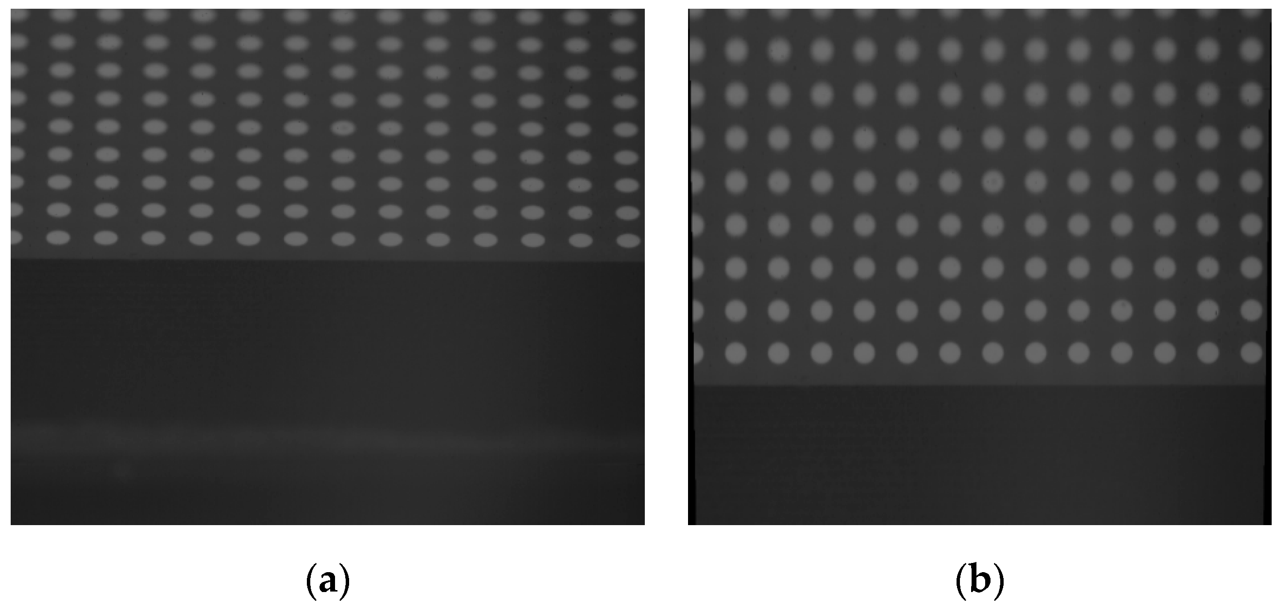 Coatings 10 00599 g006