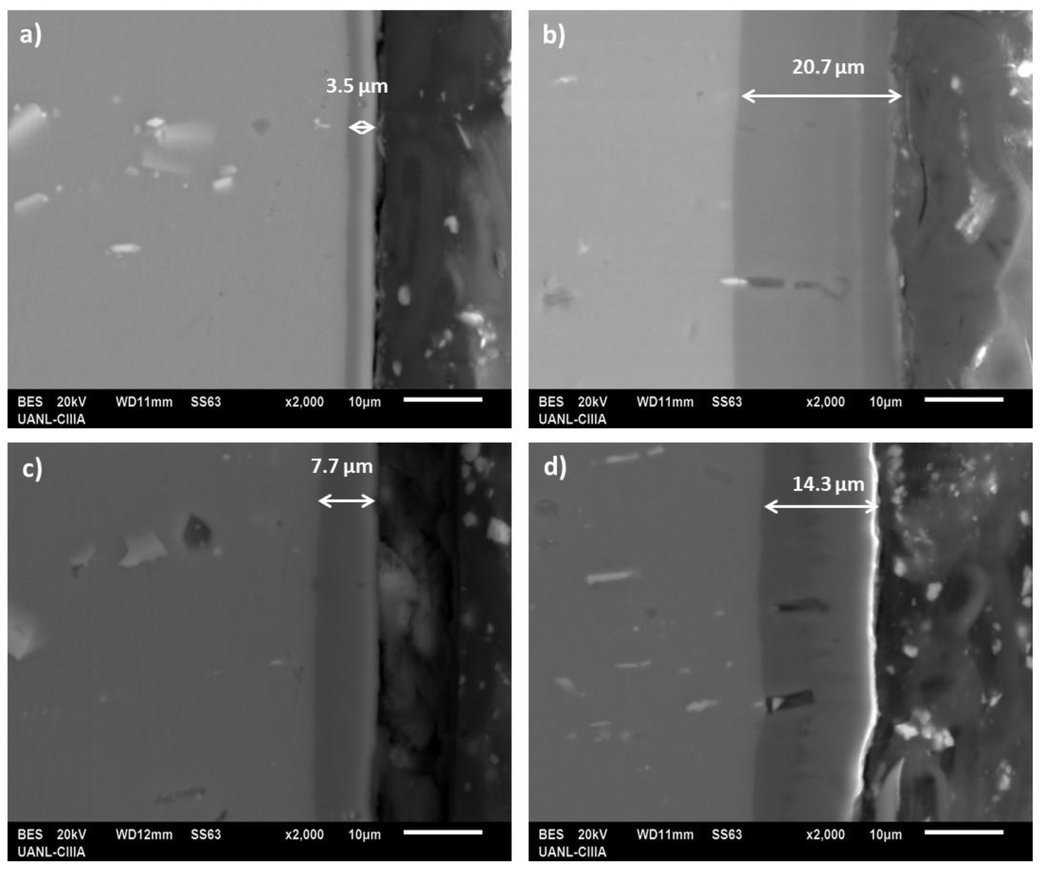 Coatings 10 00601 g005 Coatings 10 00601 g005