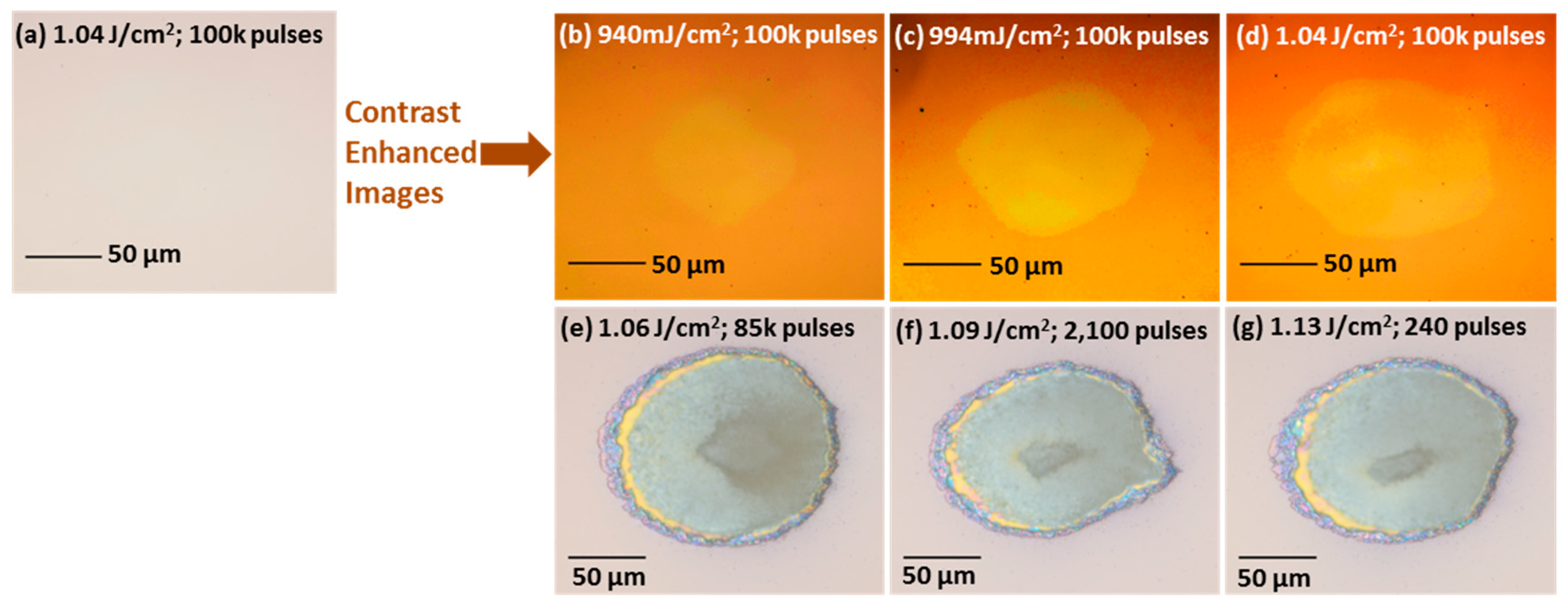Coatings 10 00603 g004