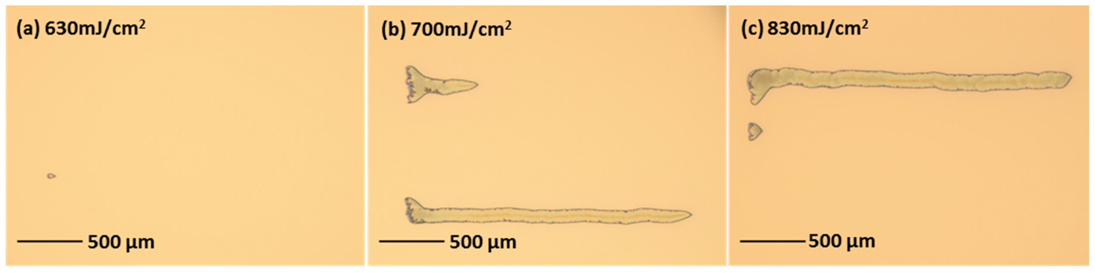 Coatings 10 00603 g005
