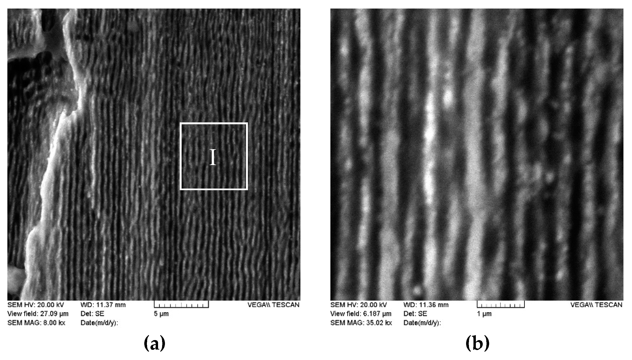 Coatings 10 00606 g002