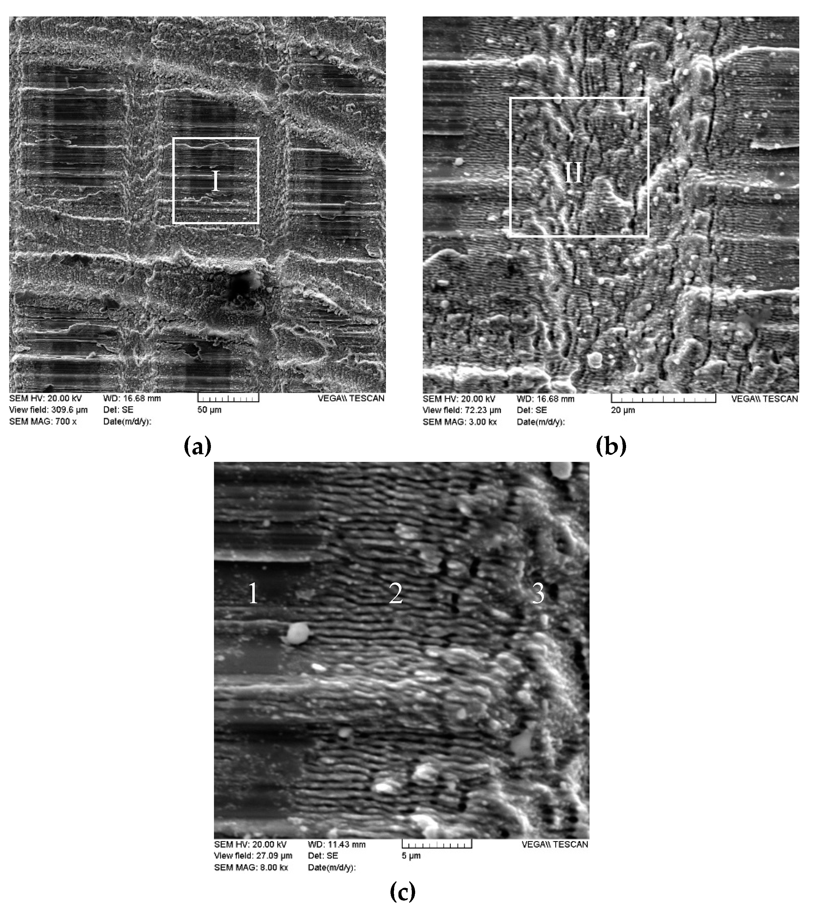 Coatings 10 00606 g003