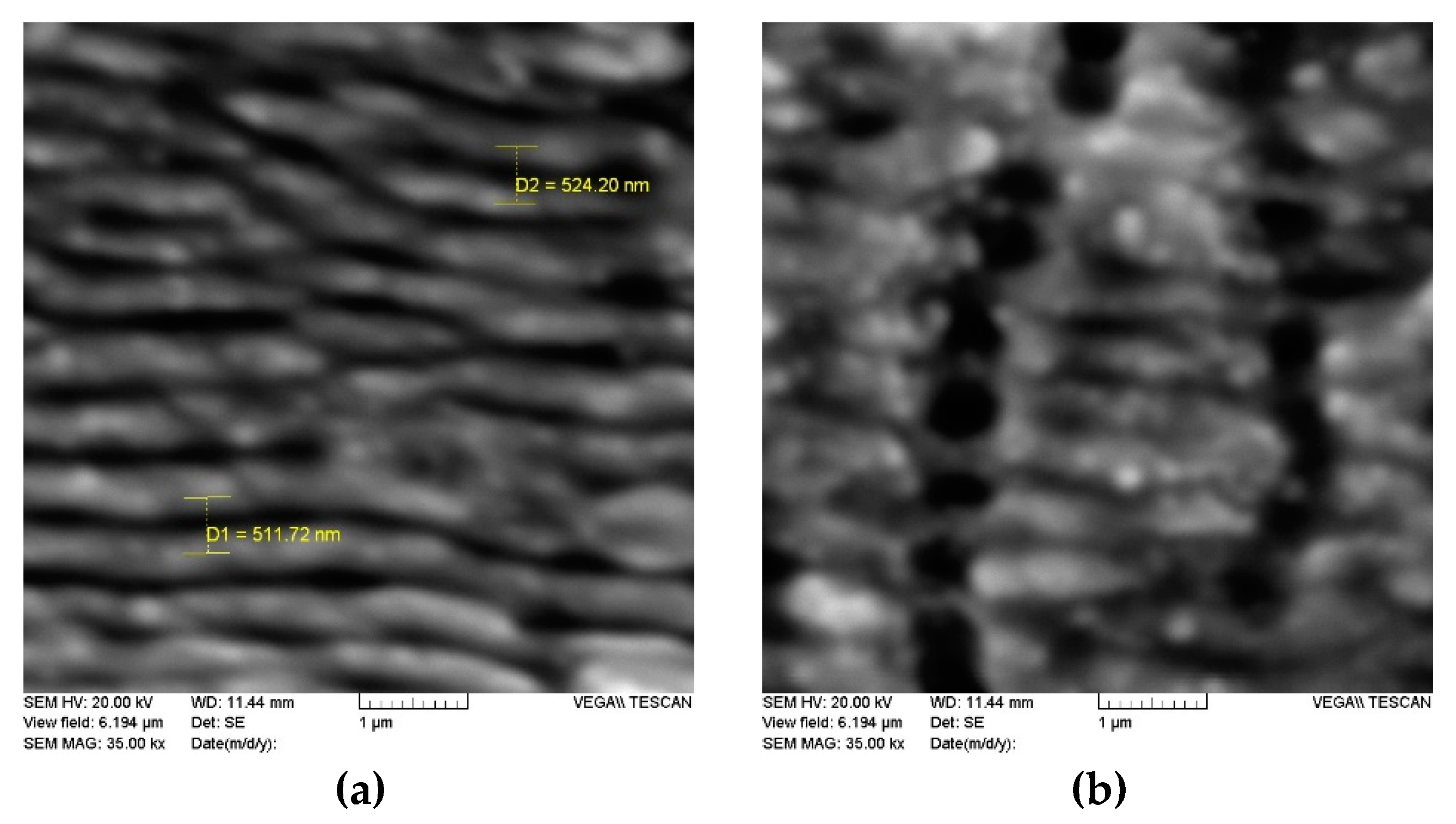 Coatings 10 00606 g004