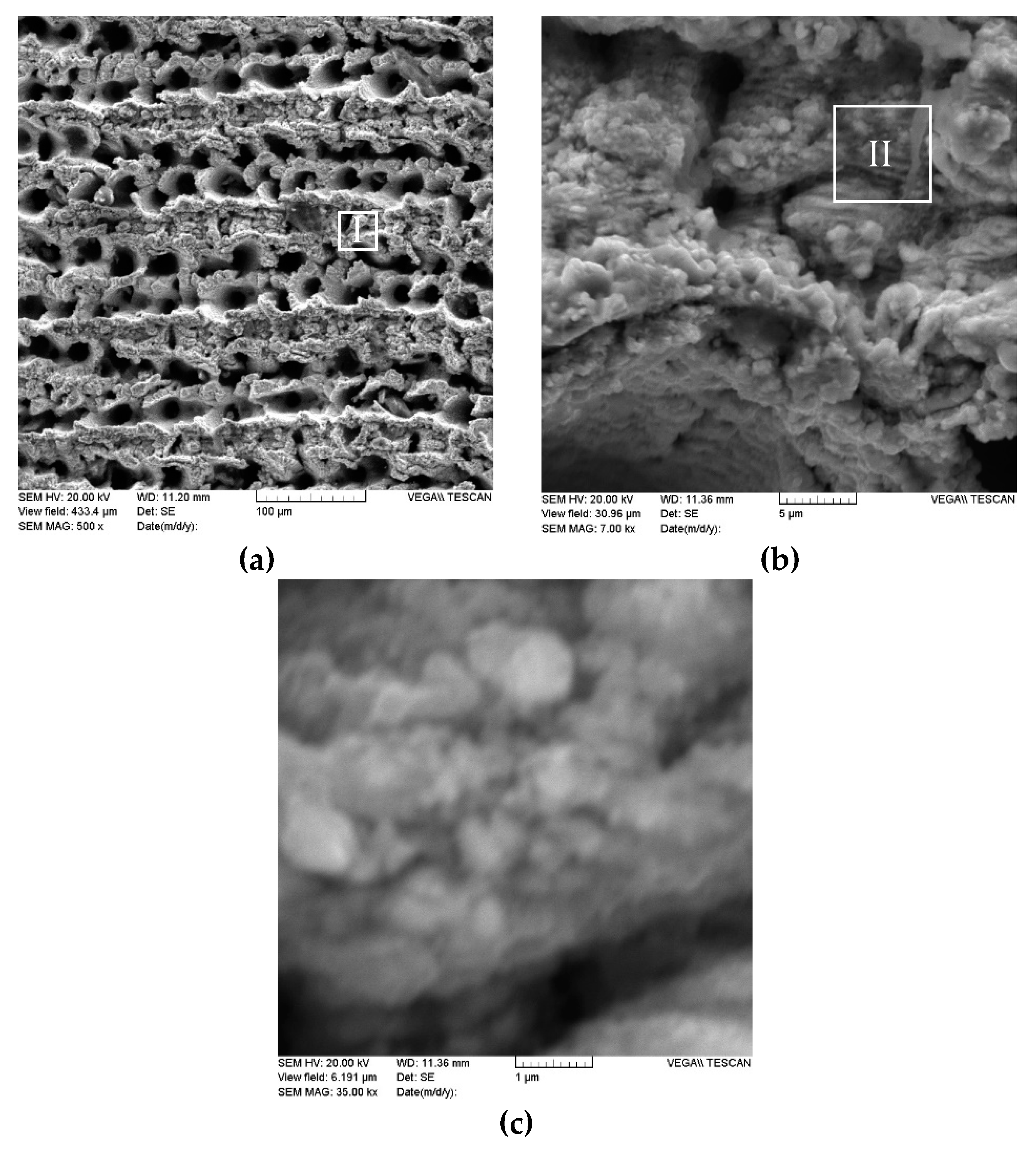 Coatings 10 00606 g005