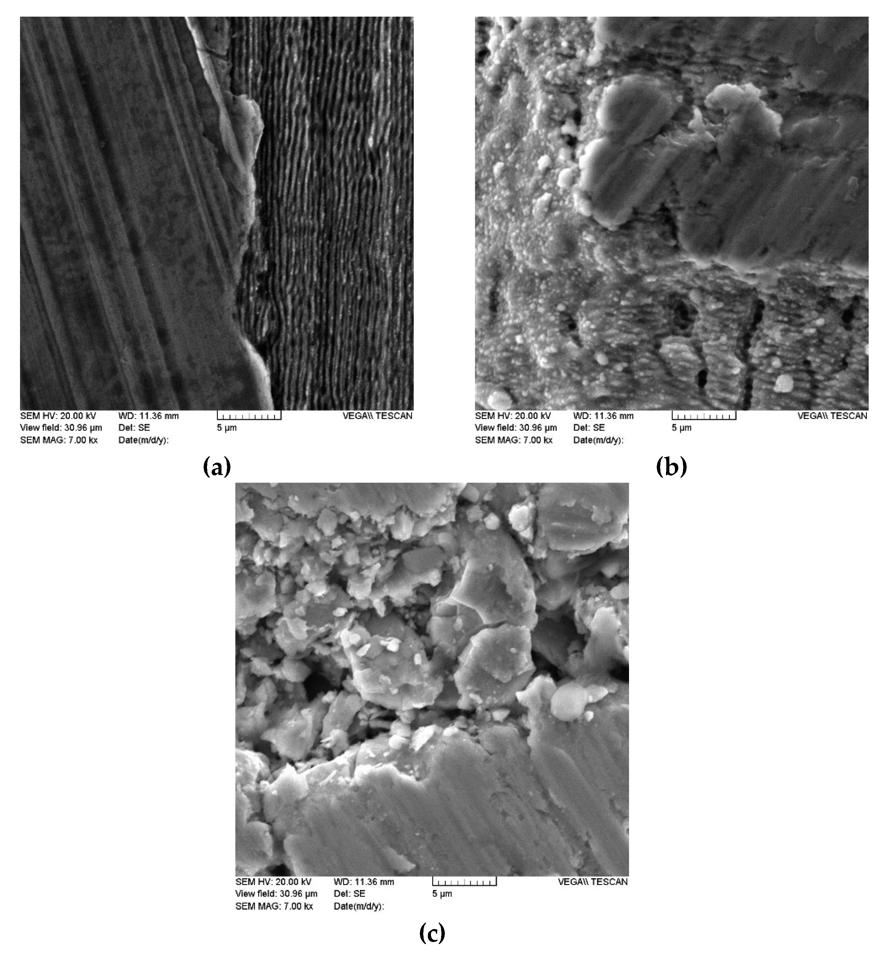 Coatings 10 00606 g010
