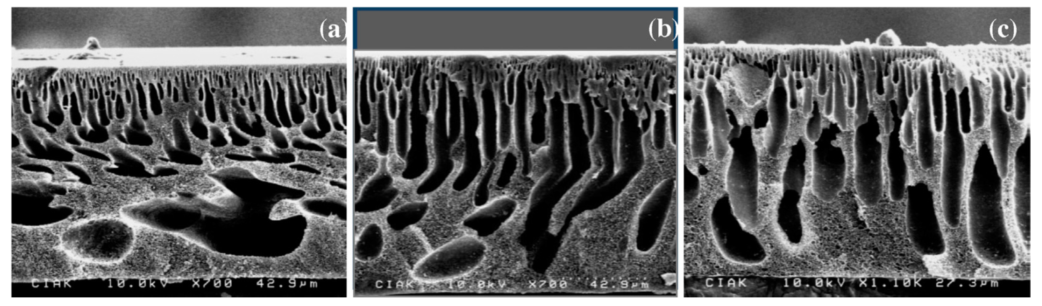 Coatings 10 00609 g001 Coatings 10 00609 g001