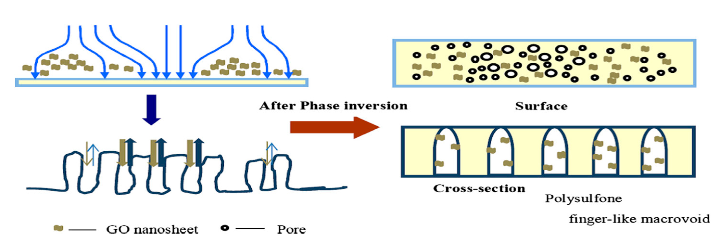 Coatings 10 00609 g012 Coatings 10 00609 g012