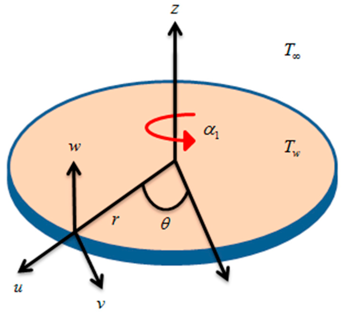 Coatings 10 00610 g001