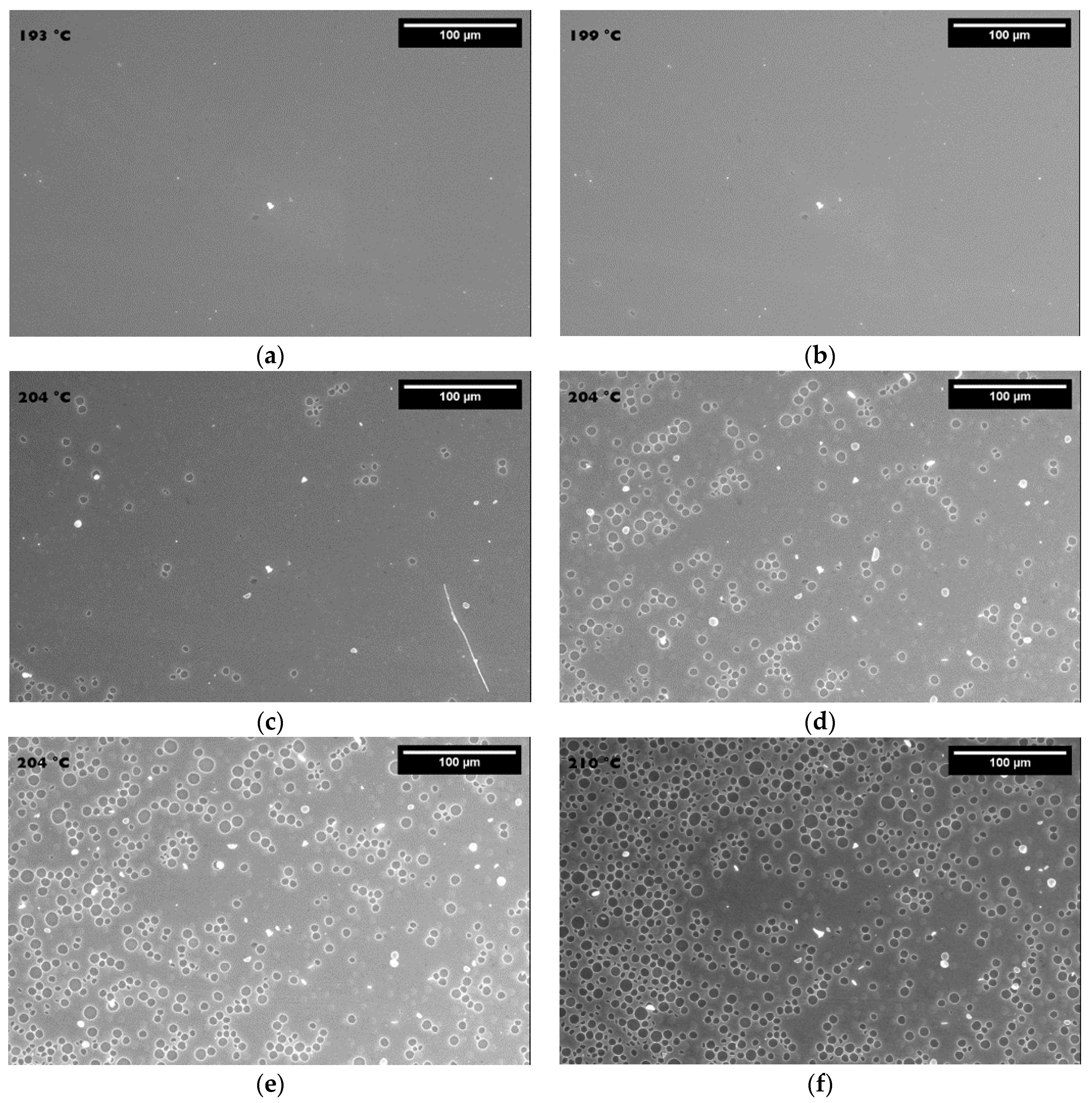 Coatings 10 00613 g007 Coatings 10 00613 g007