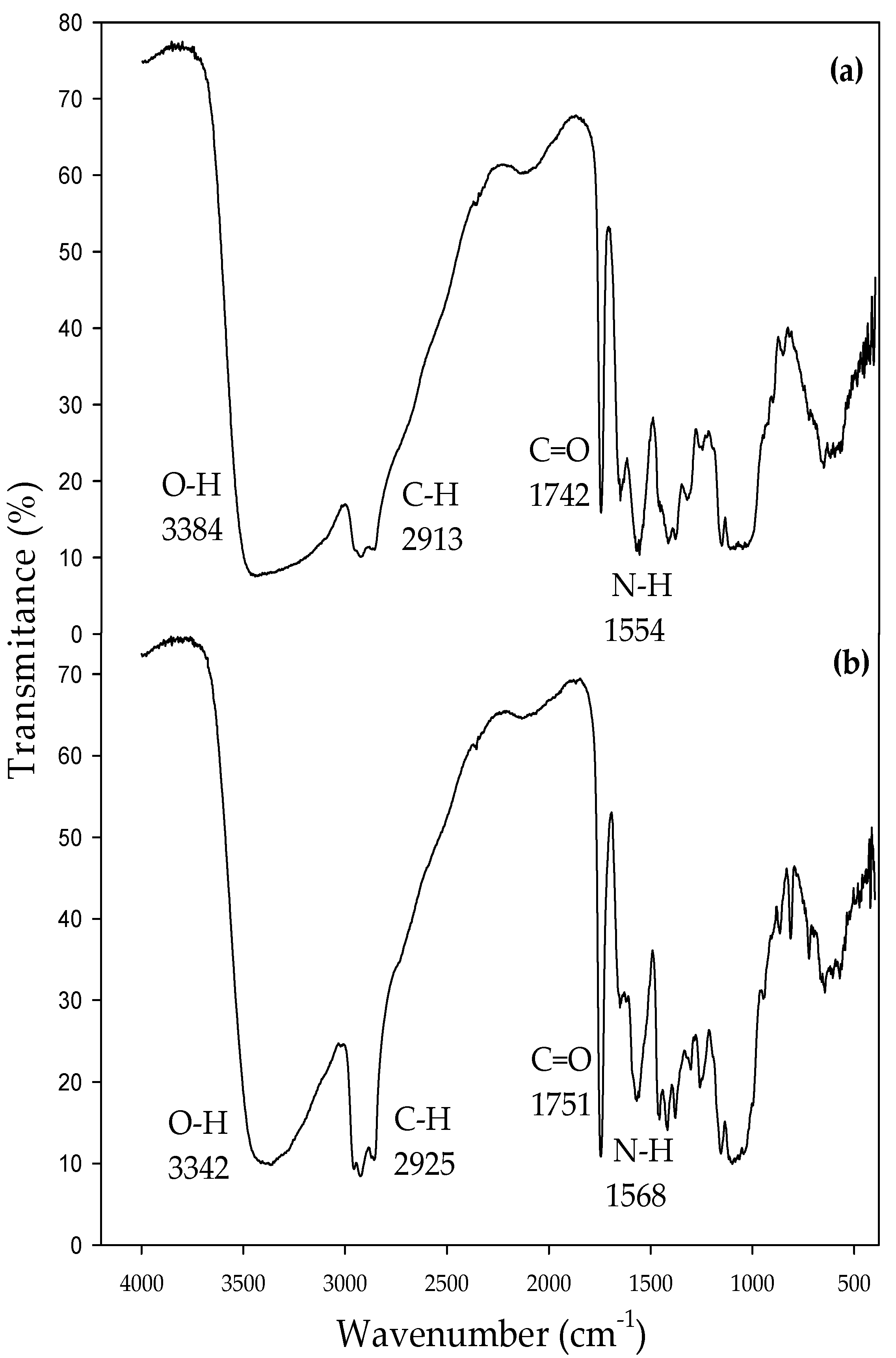 Coatings 10 00614 g002